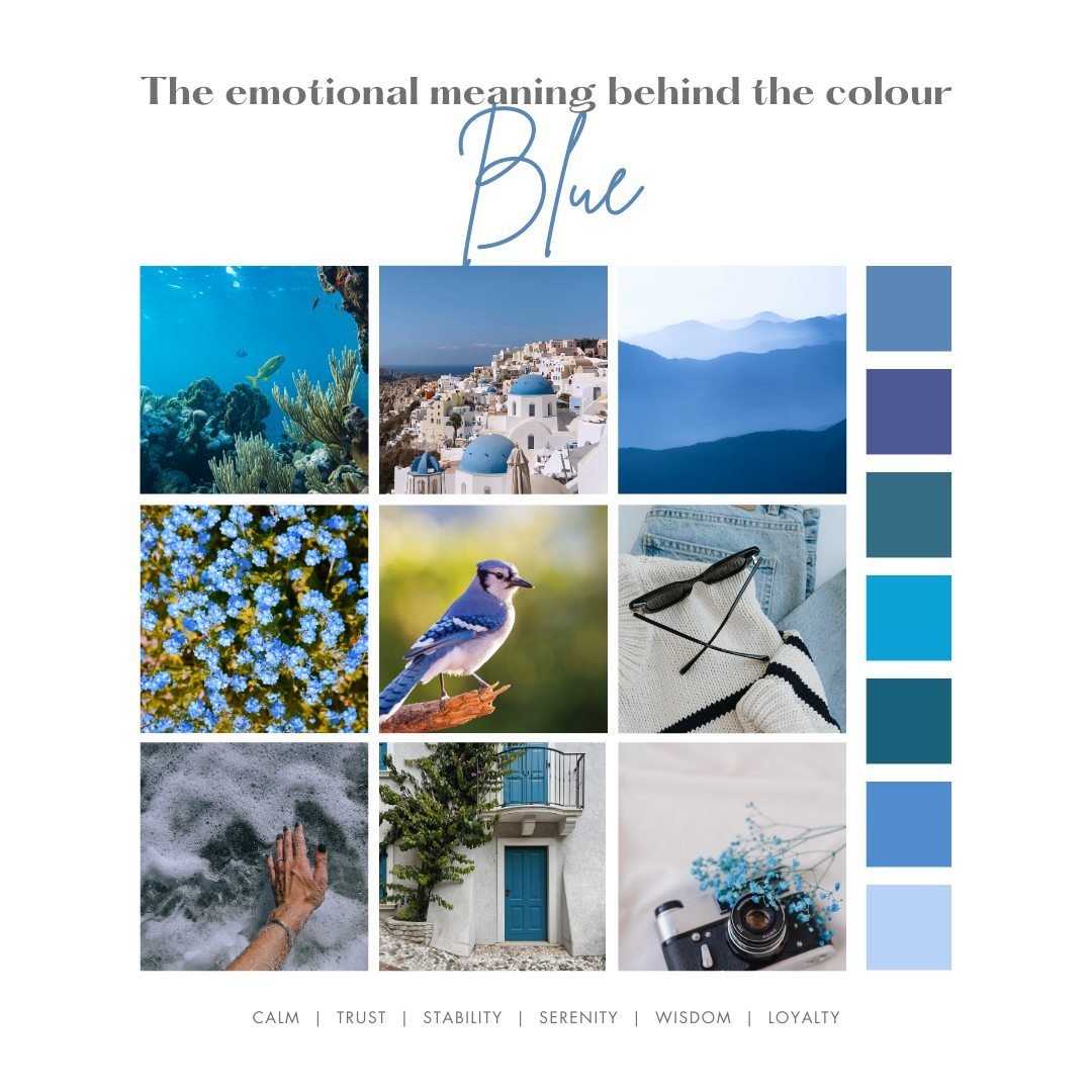Blue: A breath of calm in the chaos, the colour of serenity and trust. Dive into its depths to find clarity and peace. 🌊💙 #ColourMeaning #BlueHues #Serenity