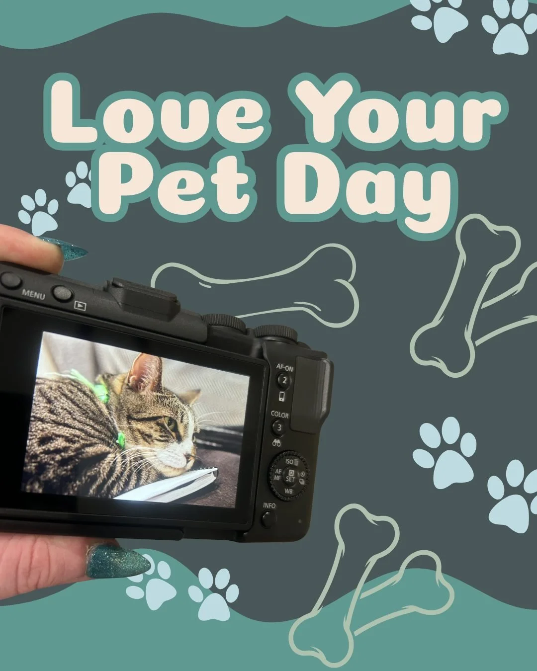 It&rsquo;s National Love Your Pet Day, which means Ivy (my tiny, furry Health &amp; Wellness Officer) would like to formally remind you that affection is mandatory and treats are non-negotiable.

I&rsquo;m Sam (they/them), a branding specialist and g