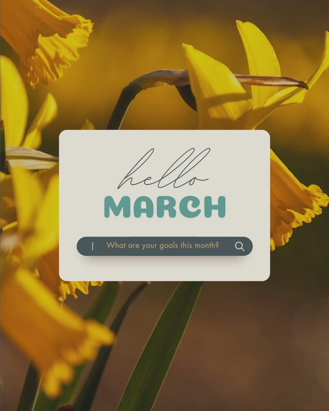 Hello March!!
I'm welcoming this month with a soft grip and a clearer plan. Less "do everything at once," and more, "do the right things, steadily." March always feels like that gentle hinge between seasons where you can almost he