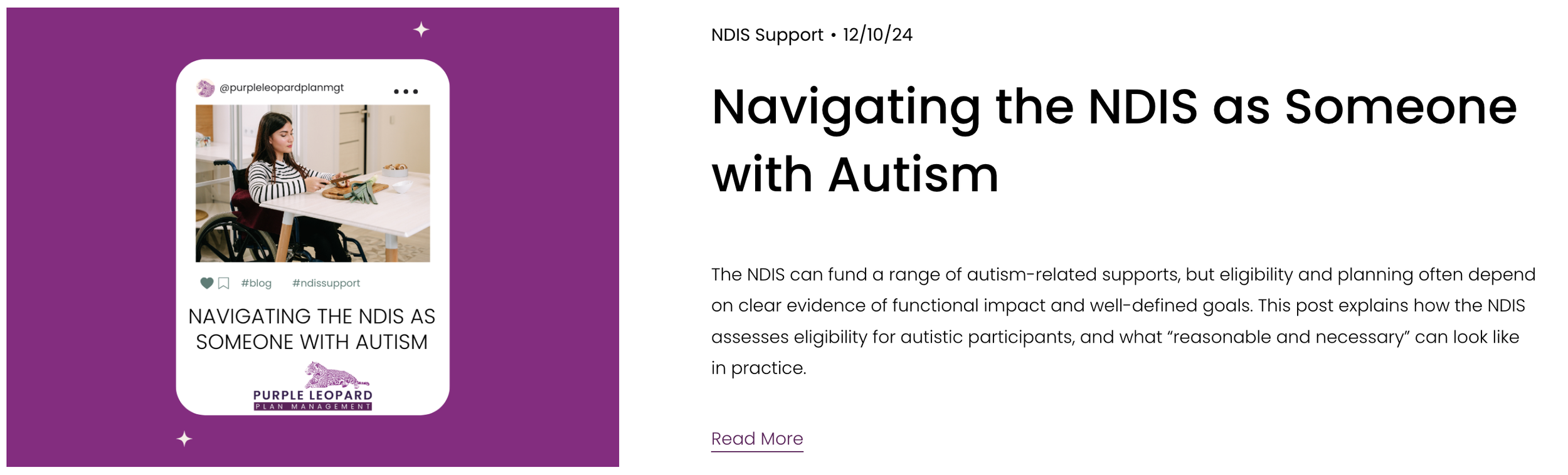 Screenshot of a Purple Leopard blog post