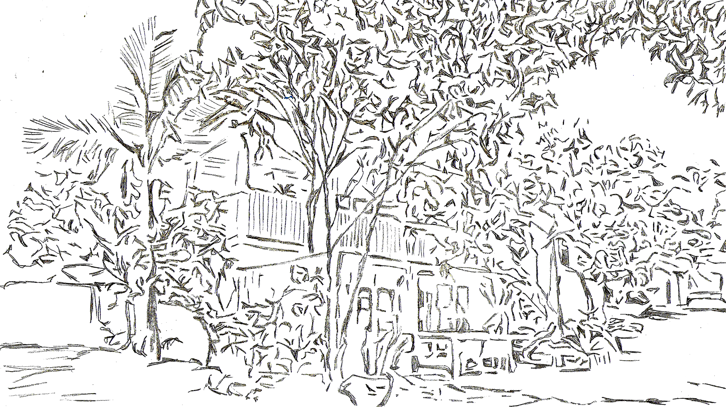 Sketch 1.png