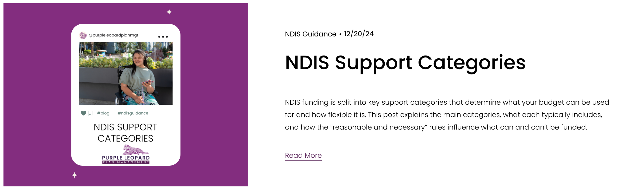 Screenshot of a Purple Leopard blog post