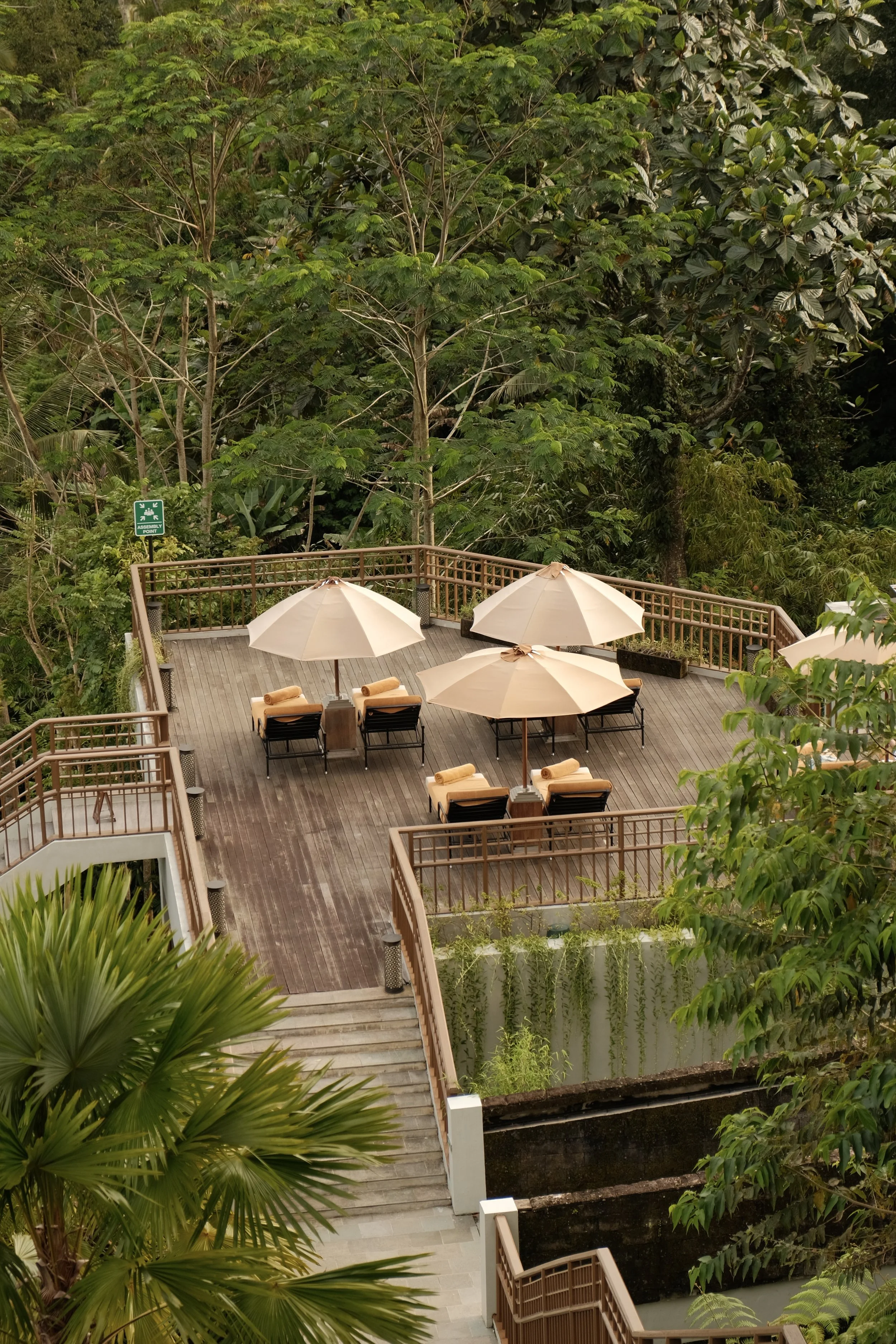 Anantara Ubud Bali Resort: A Sanctuary in Bali’s Jungle Heart