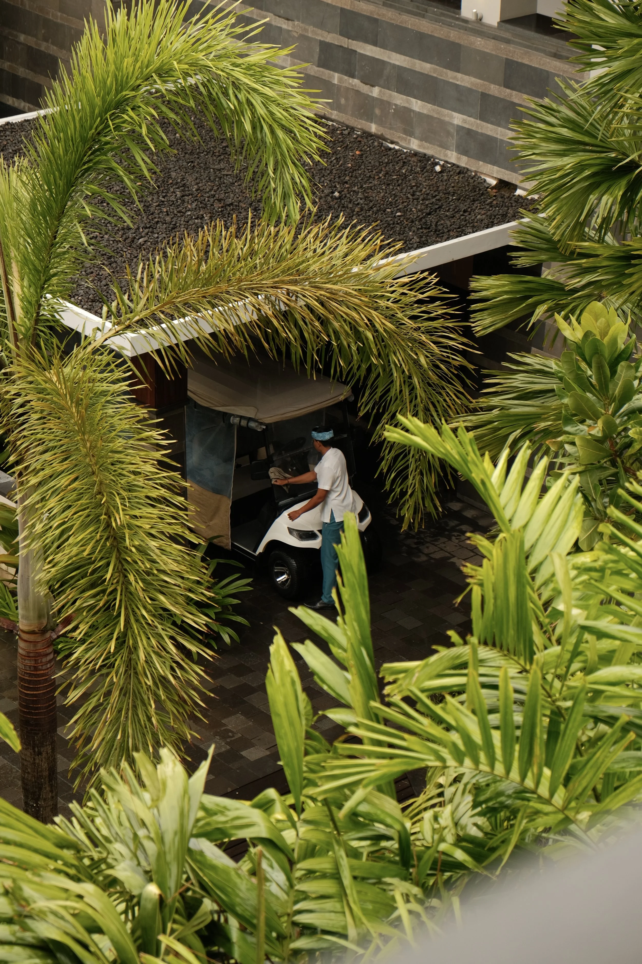 Regent Bali Canggu Bali, Indonesia: Where Canggu’s Chaos Finally Meets Luxury Calm