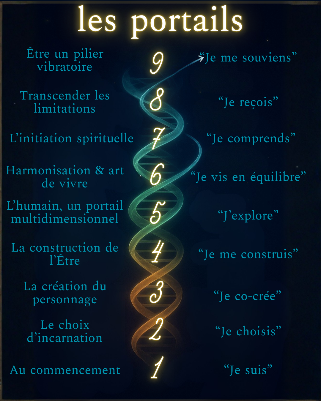 Les 9 portails NexTus