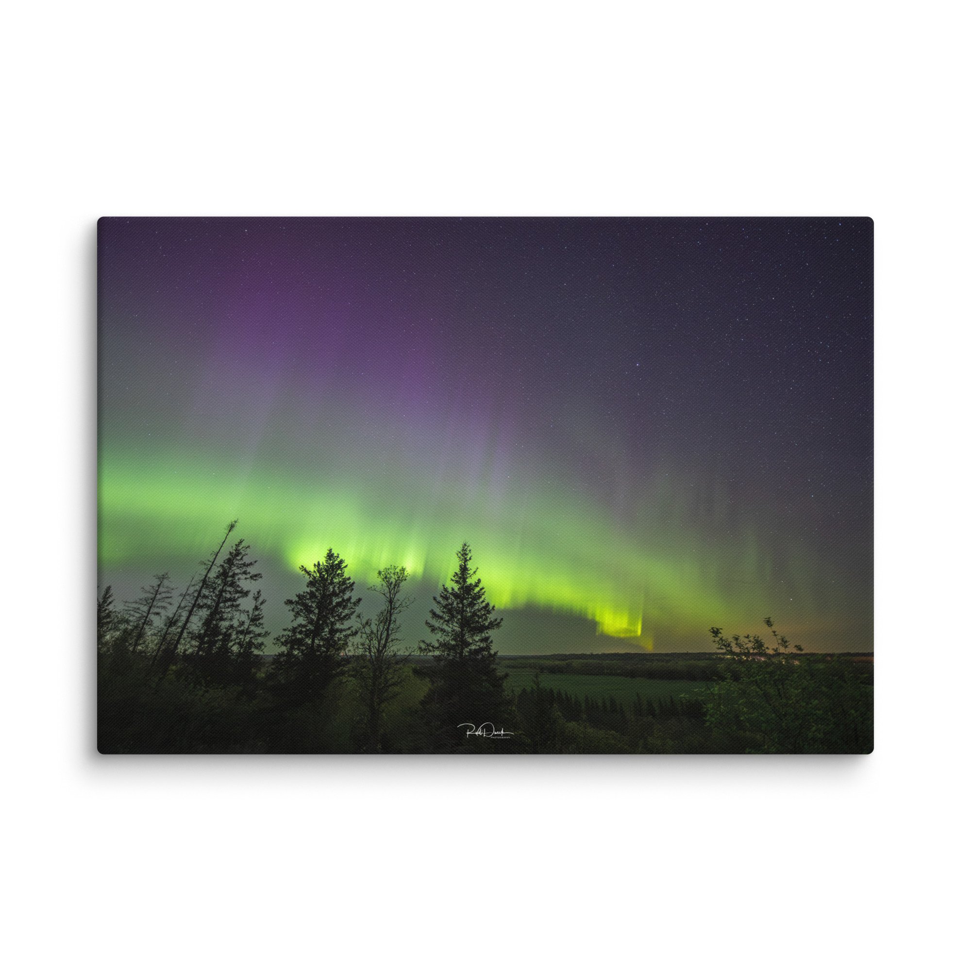 canvas-(in)-18x26-wall-67ccd1d7ebdba.jpg