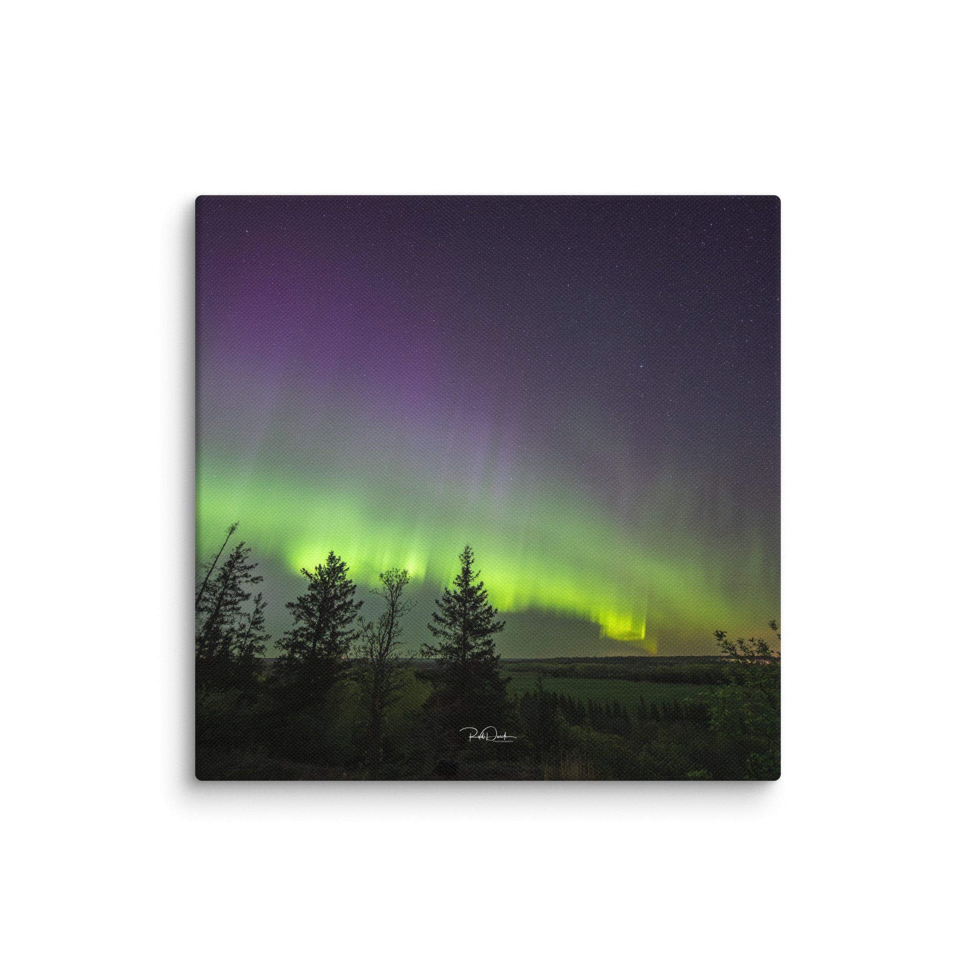 canvas-(in)-16x16-wall-67ccd1d7ec8b0.jpg