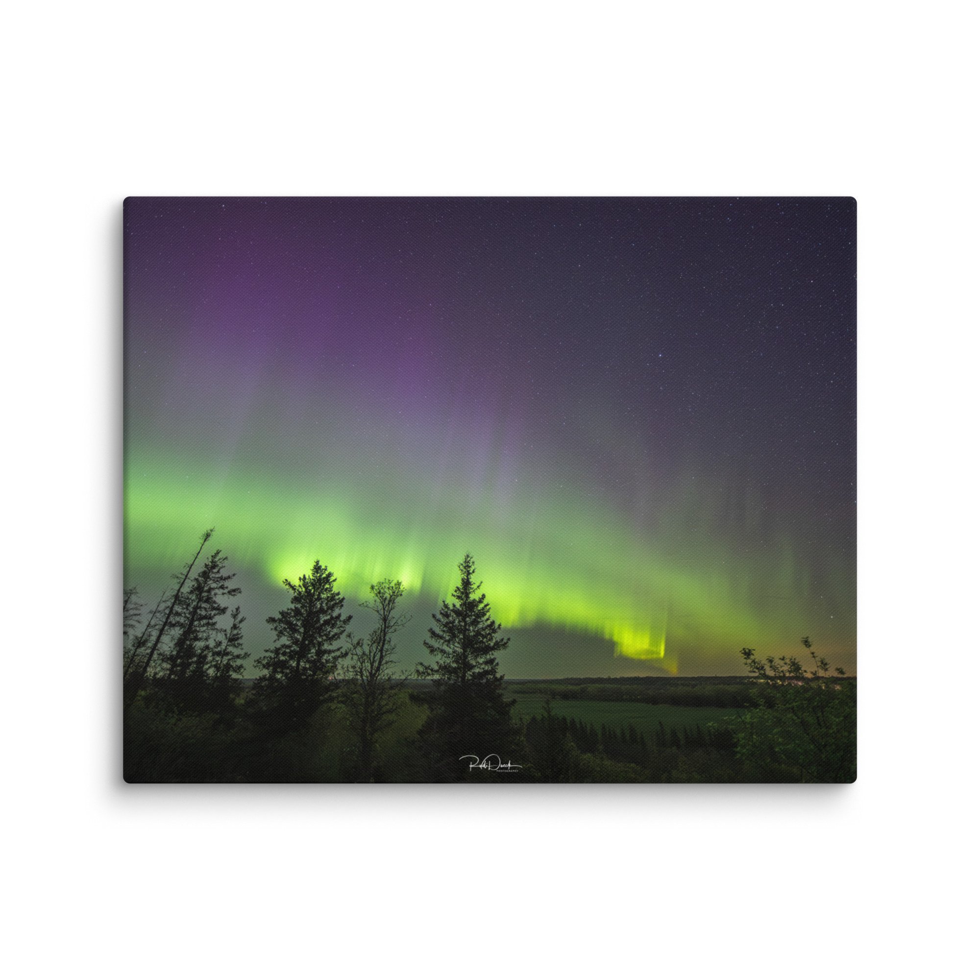canvas-(in)-16x20-wall-67ccd1d7ec93e.jpg
