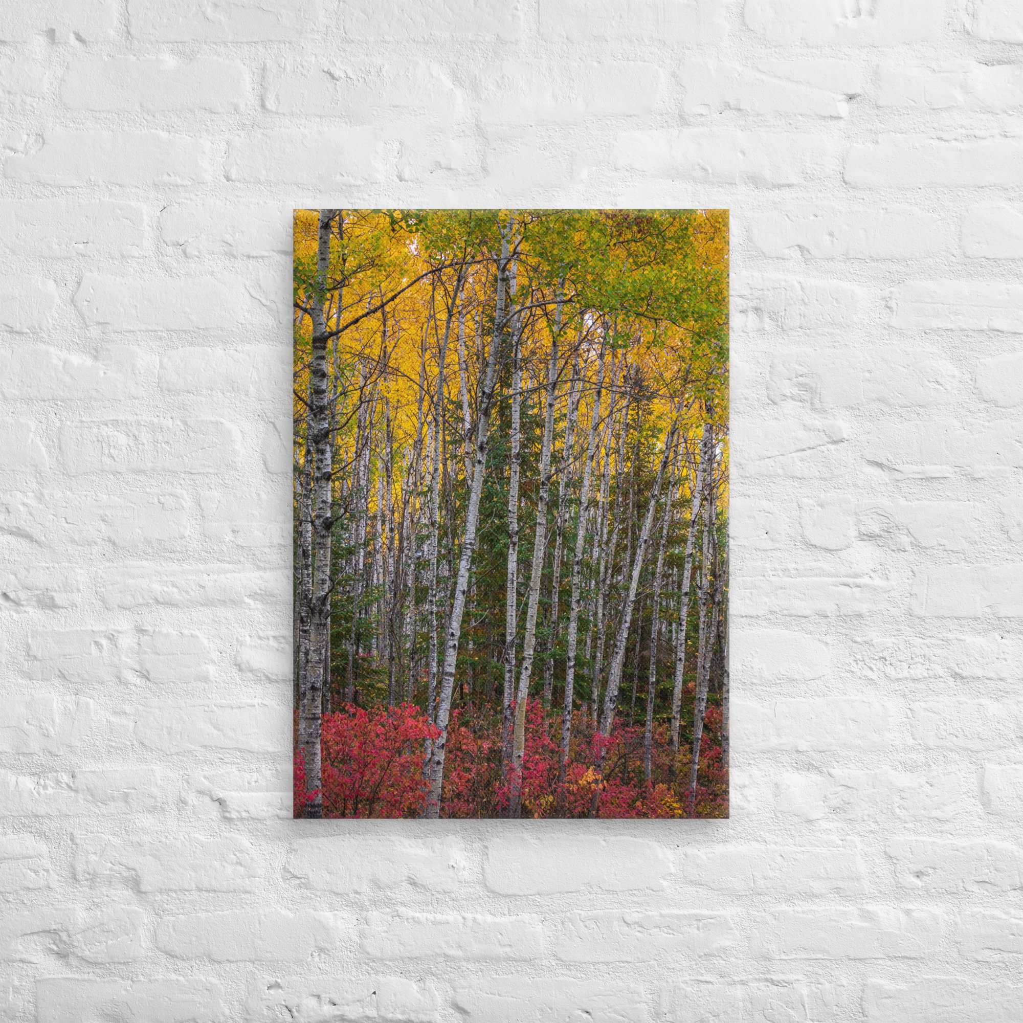 canvas-(in)-20x28-front-67cdcd1091f01.jpg