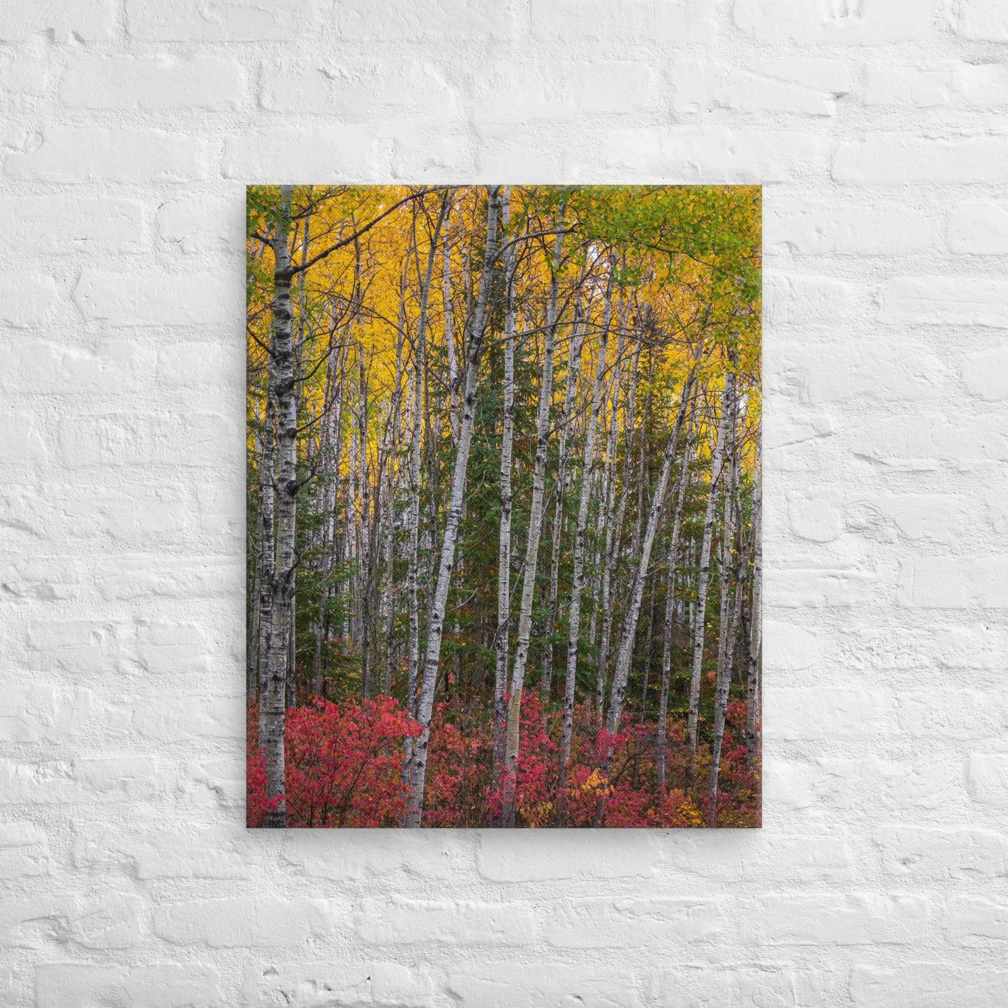 canvas-(in)-24x30-front-67cdcd10920f7.jpg