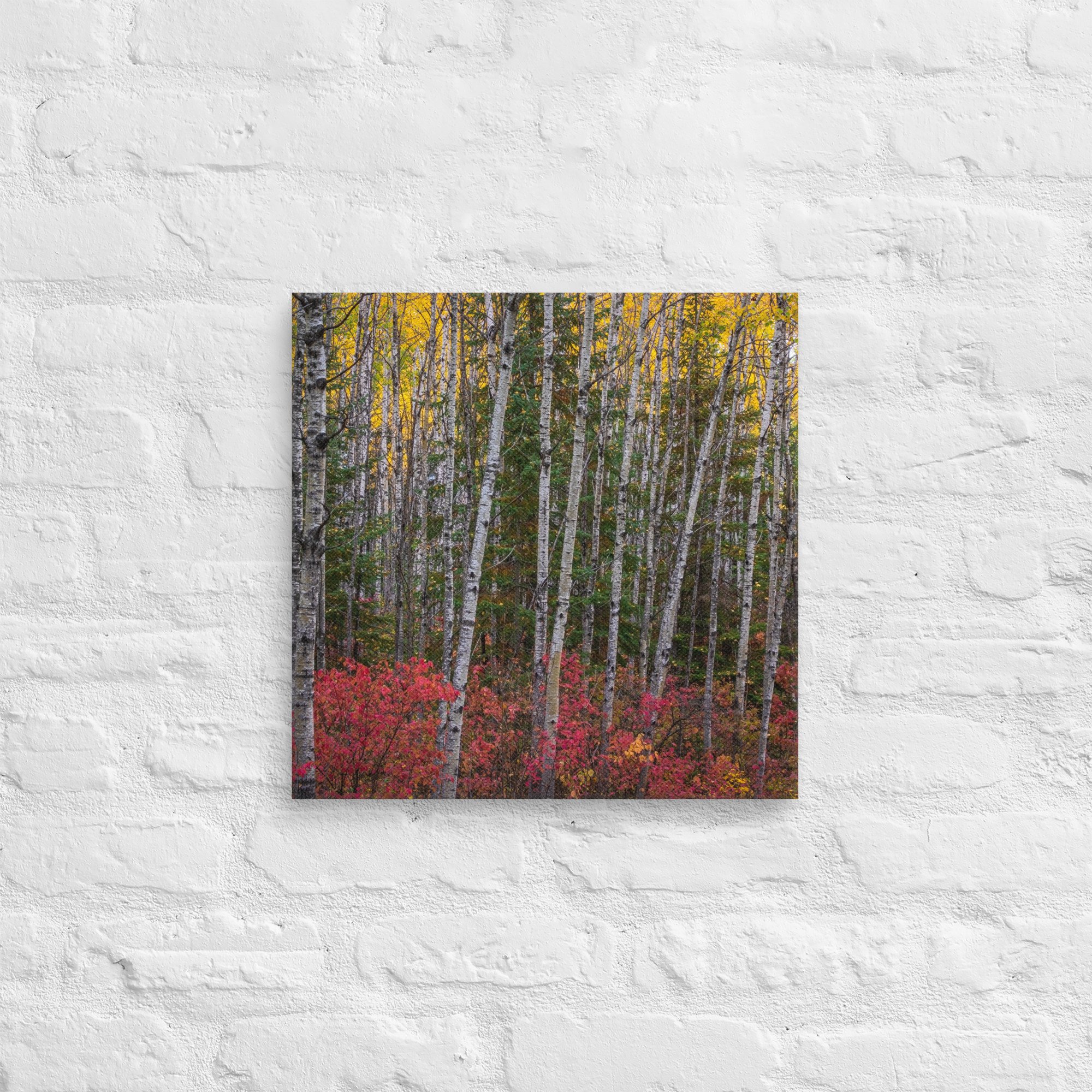 canvas-(in)-16x16-front-67cdcd1092d1b.jpg