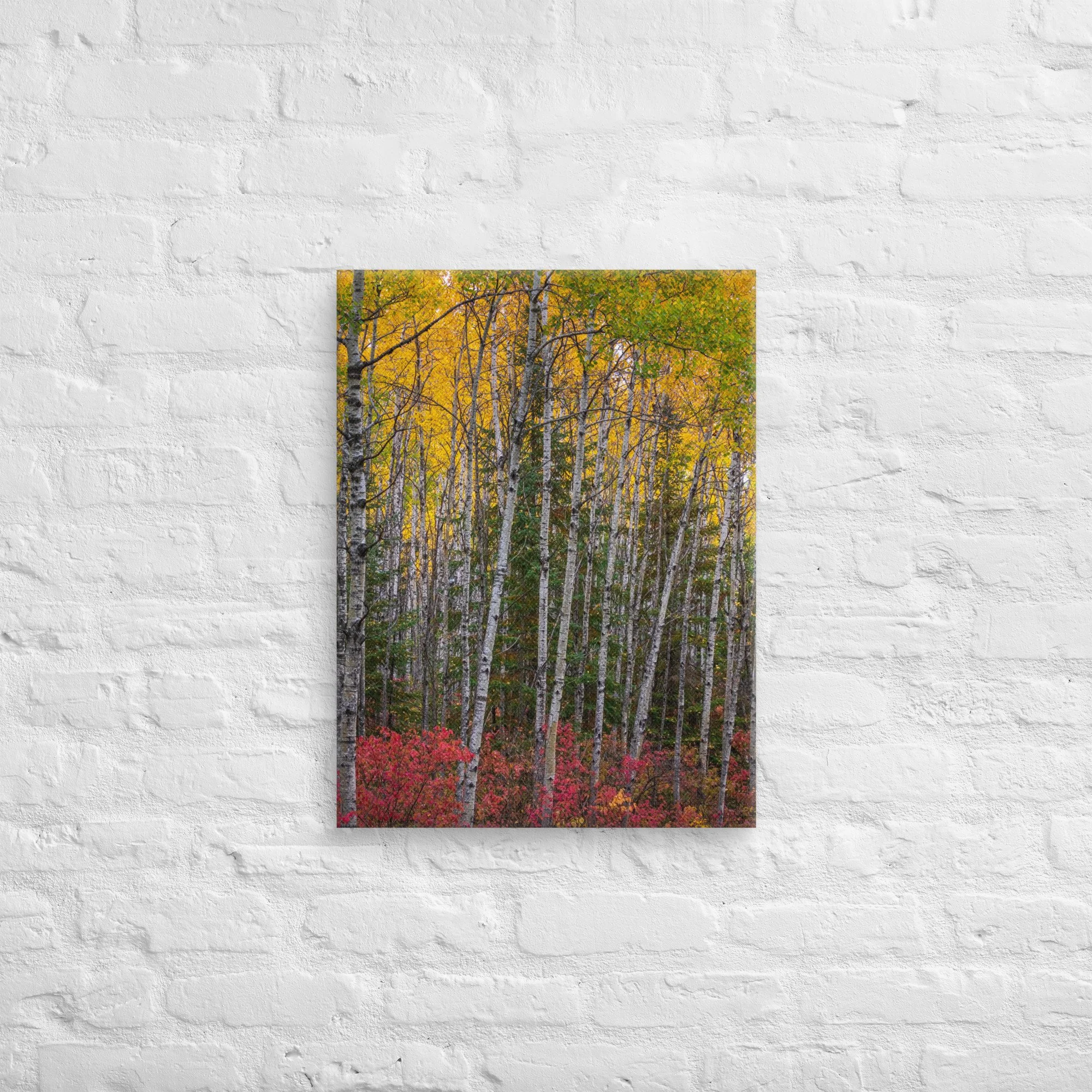 canvas-(in)-18x24-front-67cdcd1092ec8.jpg
