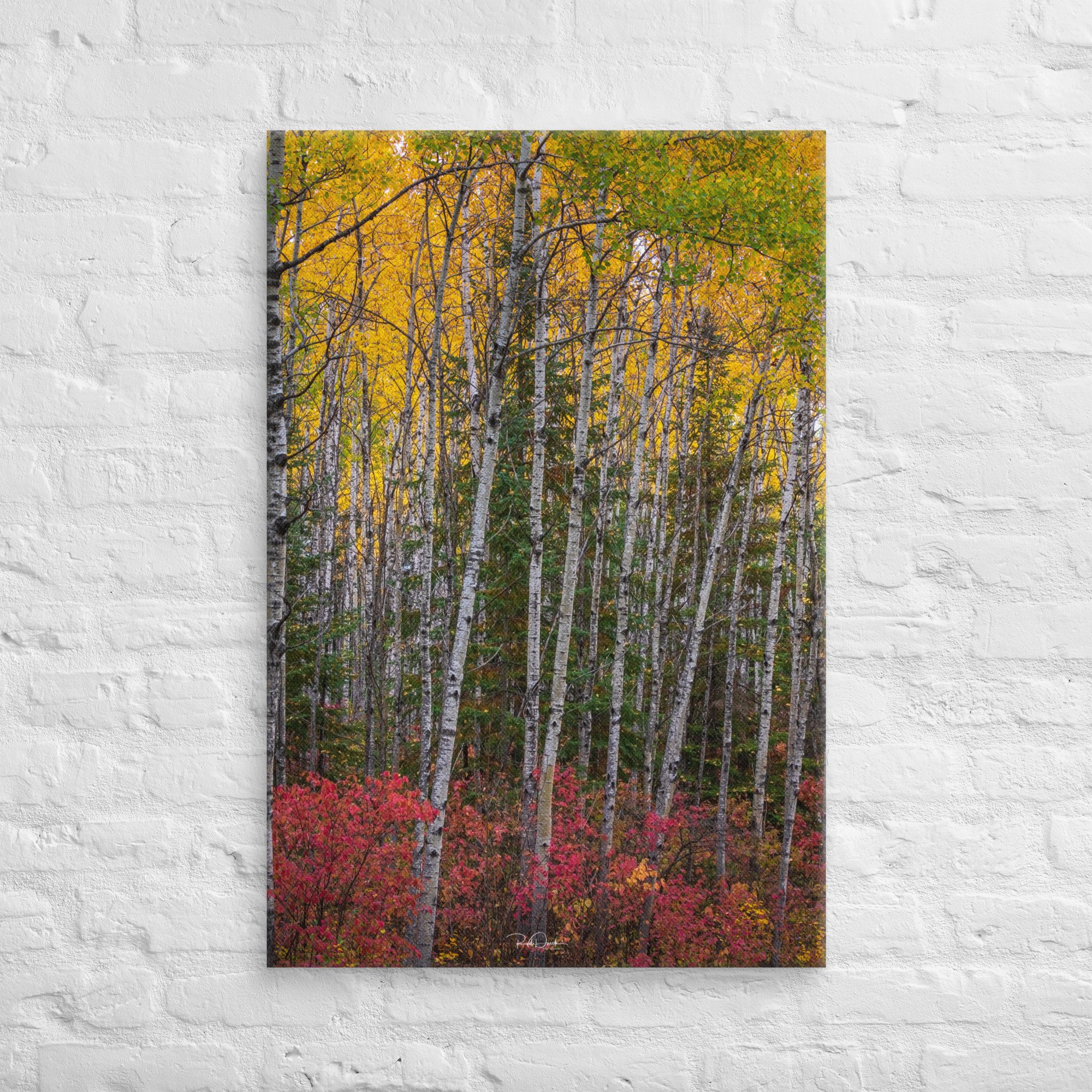 canvas-(in)-24x36-front-67cdcd1092f99.jpg