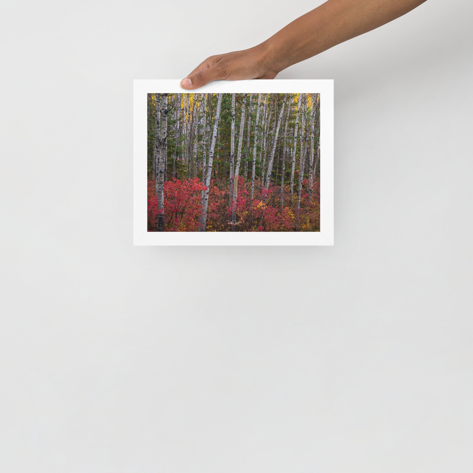 premium-luster-photo-paper-framed-poster-(in)-white-8x10-front-67cdcefd6cda0.jpg