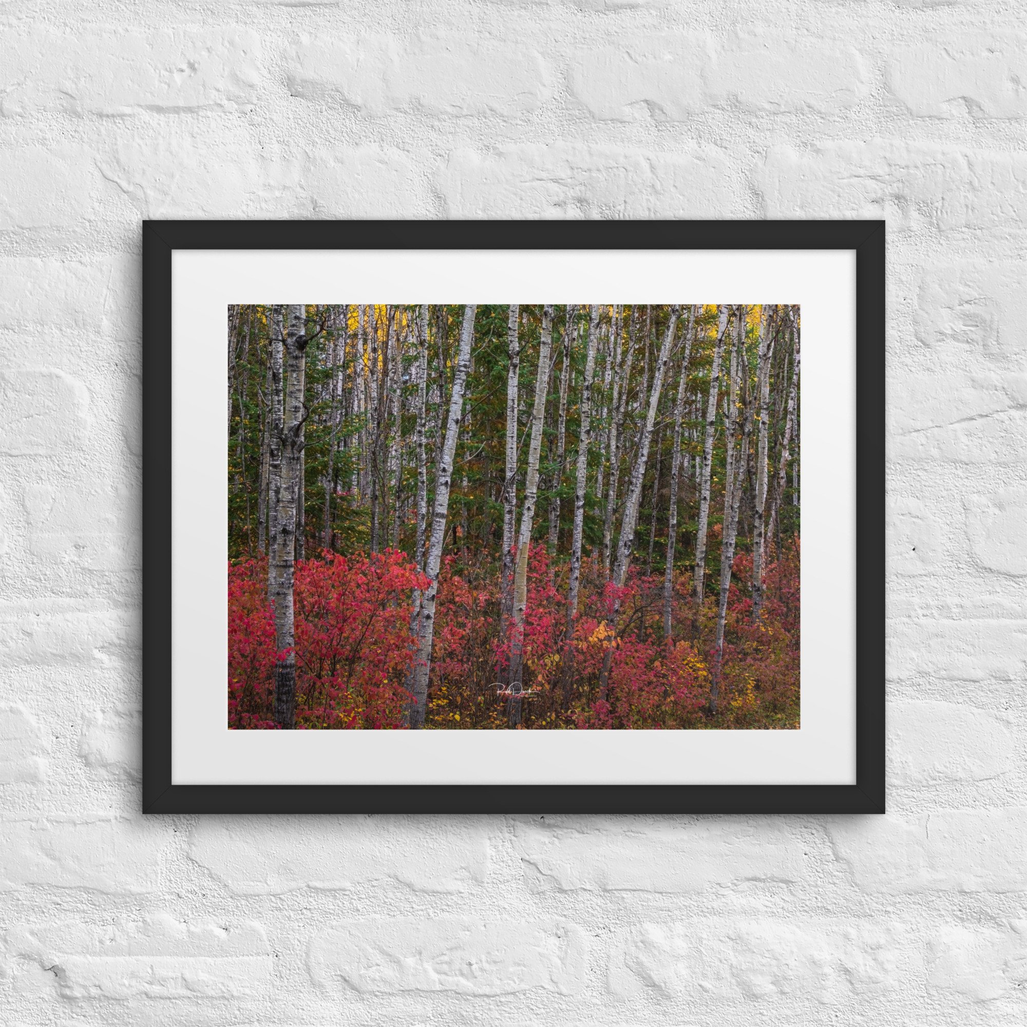 matte-paper-framed-poster-with-mat-(in)-black-16x20-front-67cdd112d14af.jpg