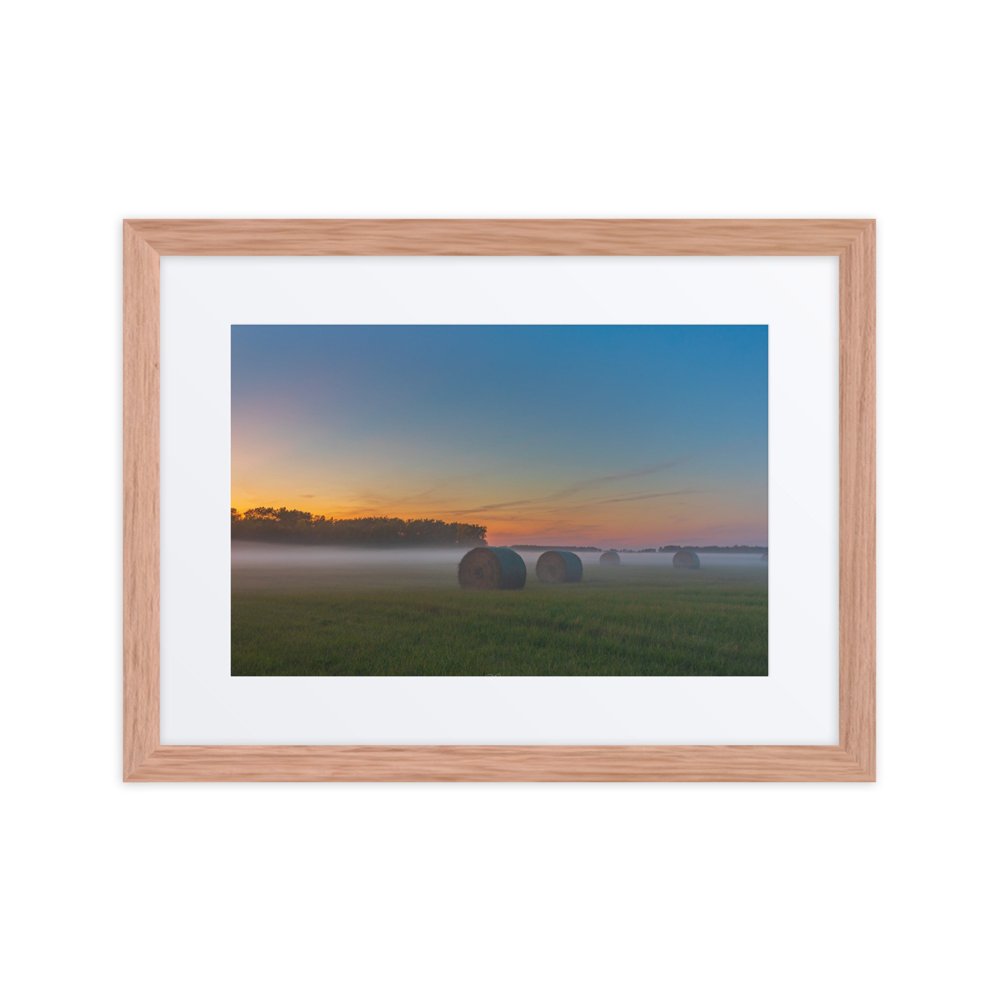 matte-paper-framed-poster-with-mat-(in)-red-oak-12x16-front-67cddab5b5aa5.jpg