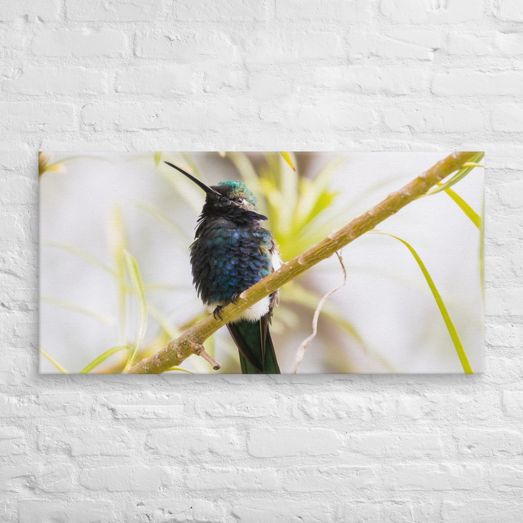 canvas-(in)-20x40-front-67cde12d89e73.jpg