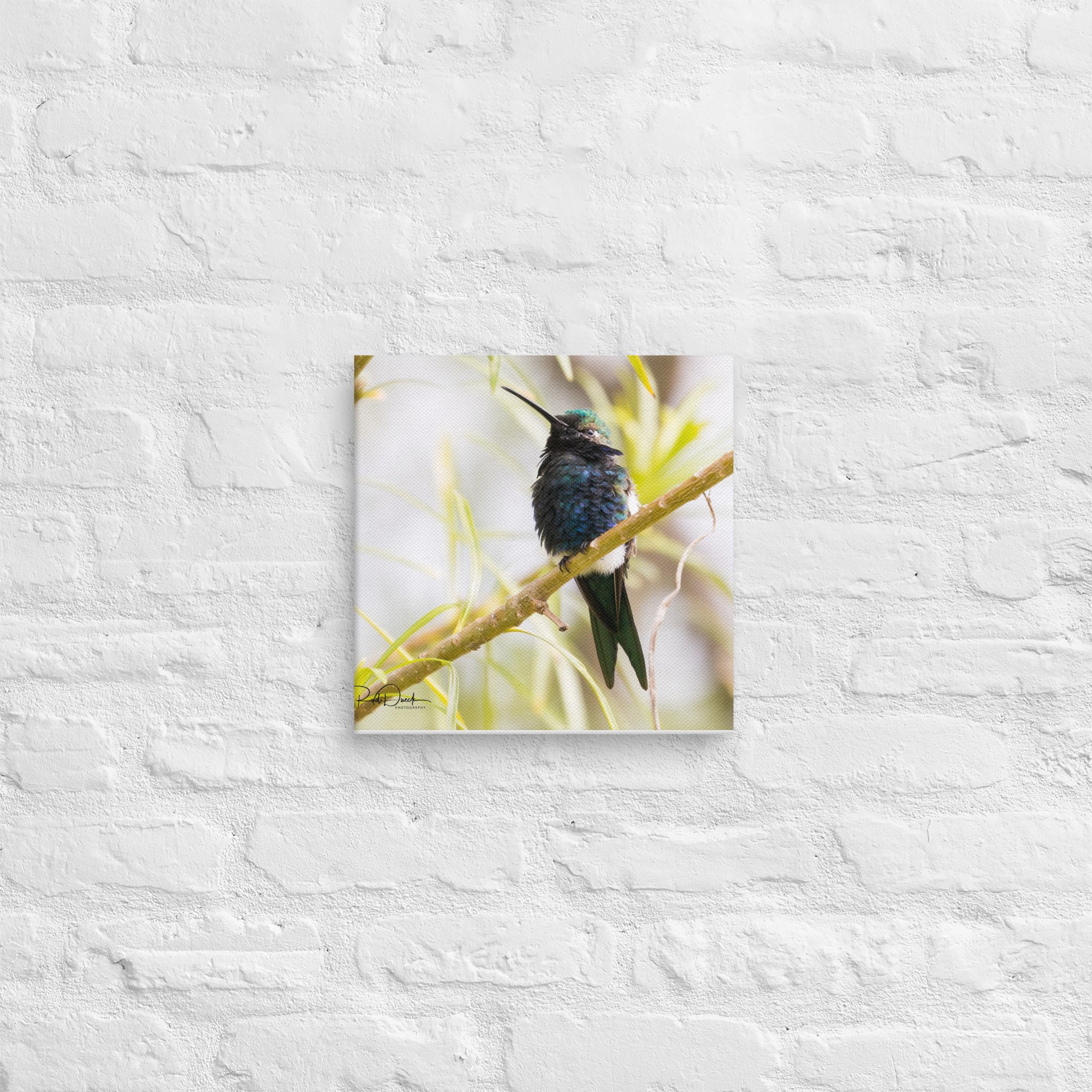 canvas-(in)-12x12-front-67cde12d8a49d.jpg
