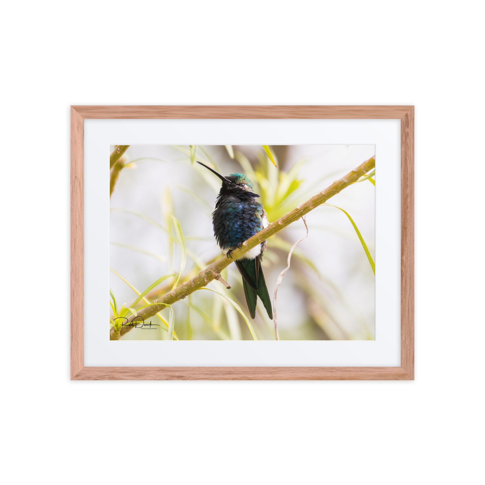 matte-paper-framed-poster-with-mat-(in)-red-oak-16x20-front-67cde507e438f.jpg