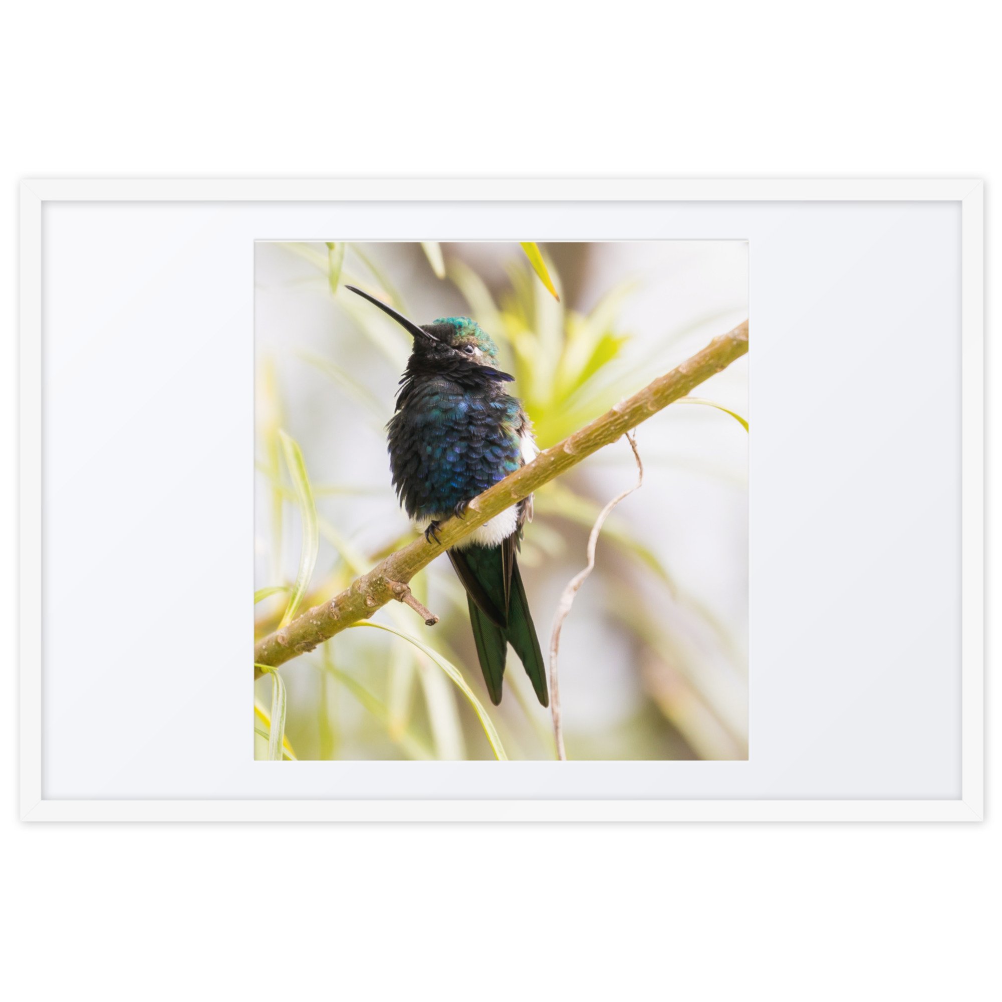 matte-paper-framed-poster-with-mat-(in)-white-24x36-front-67cde507e46f0.jpg