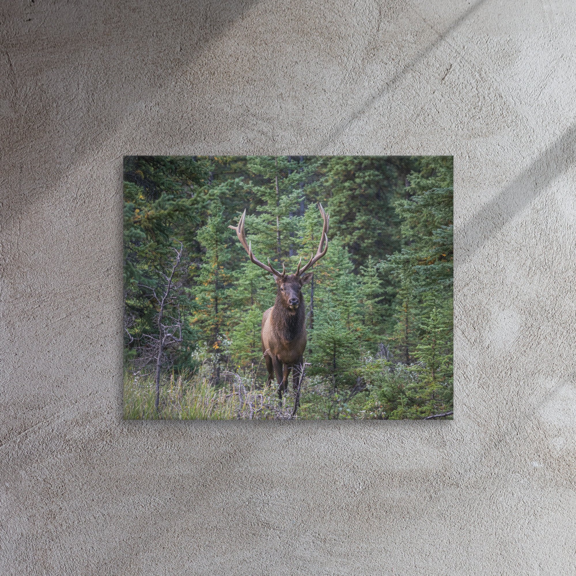 thin-canvas-(in)-16x20-front-67cf7ed001a03.jpg