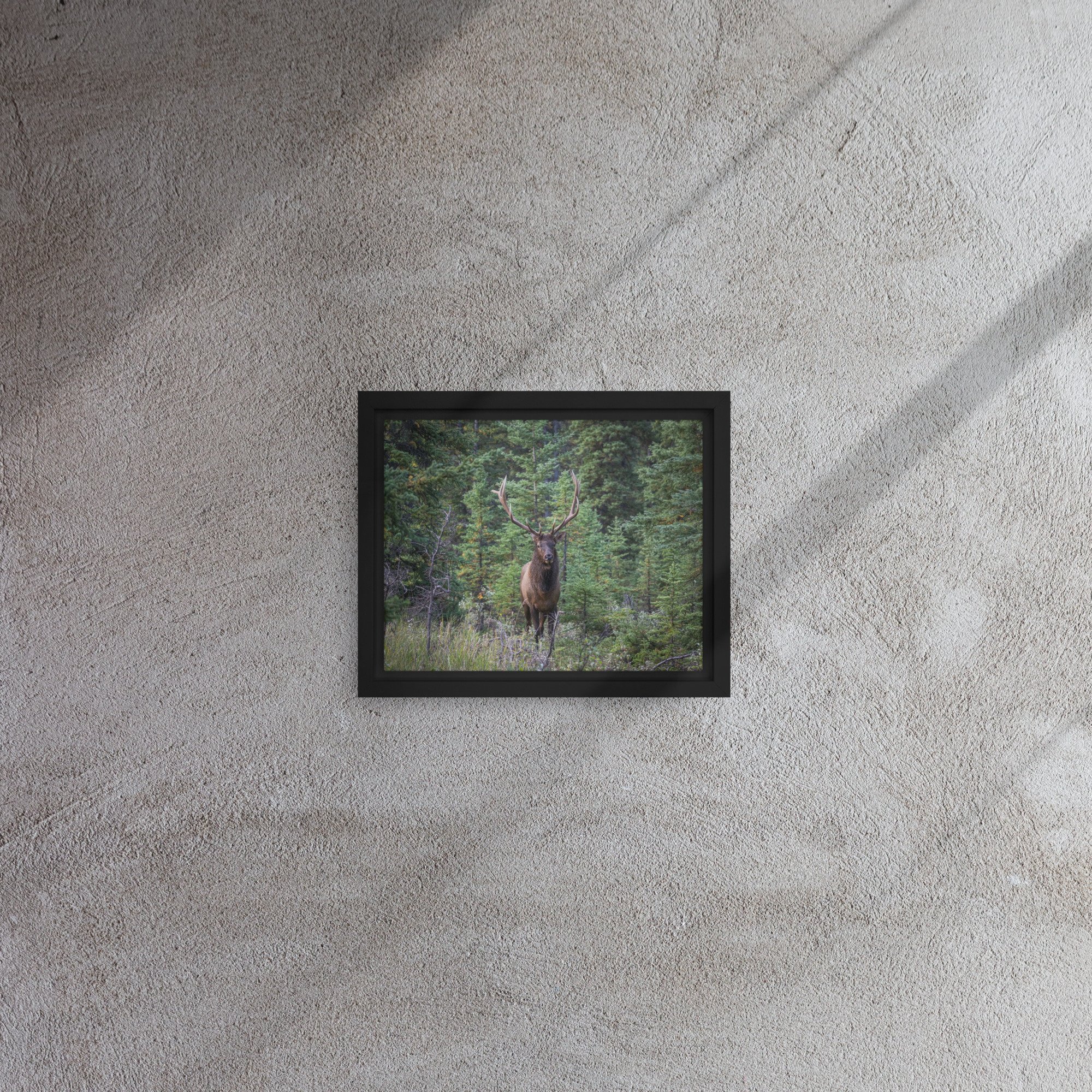 framed-canvas-(in)-black-8x10-front-67d0ab5828649.jpg