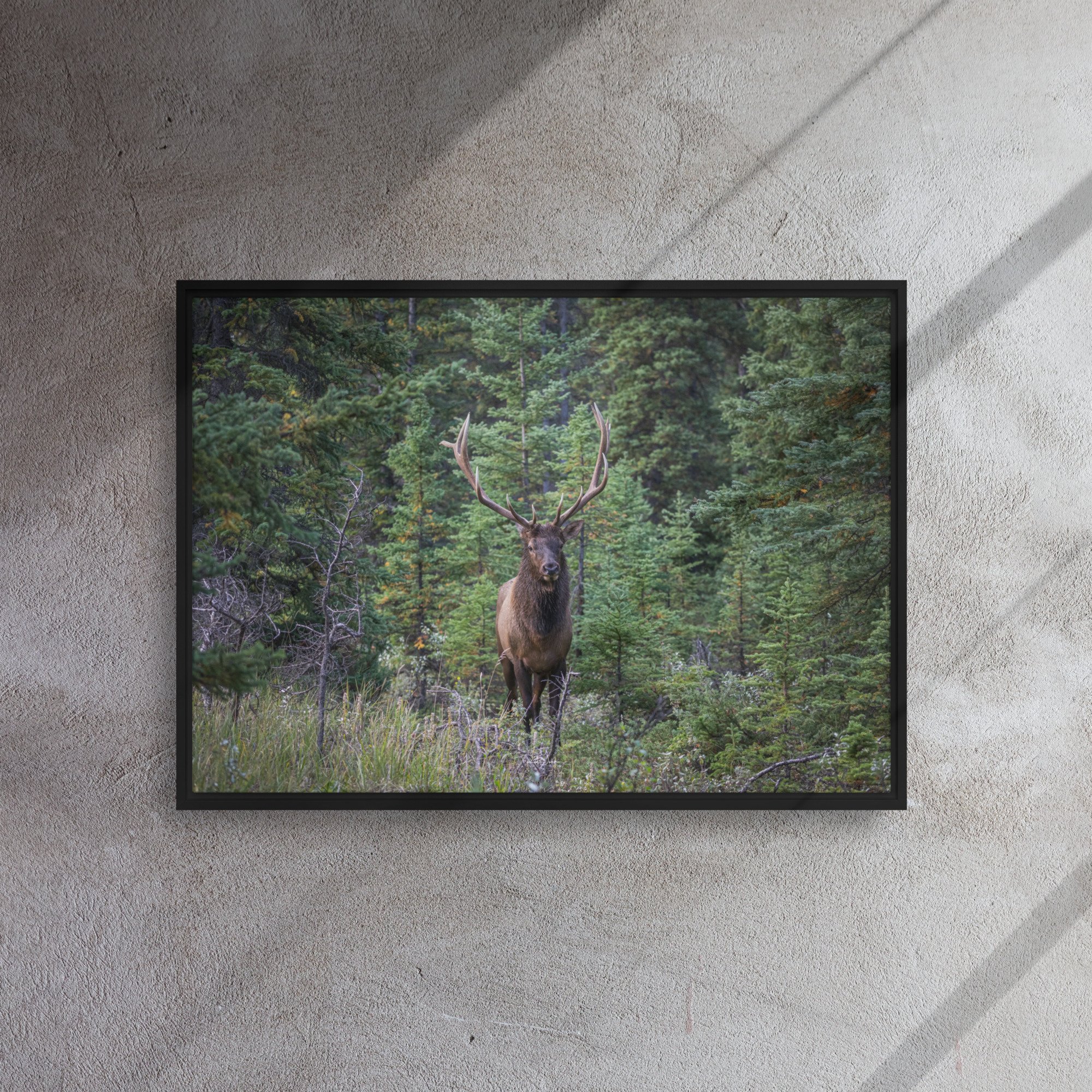 framed-canvas-(in)-black-20x28-front-67d0ab5828a61.jpg