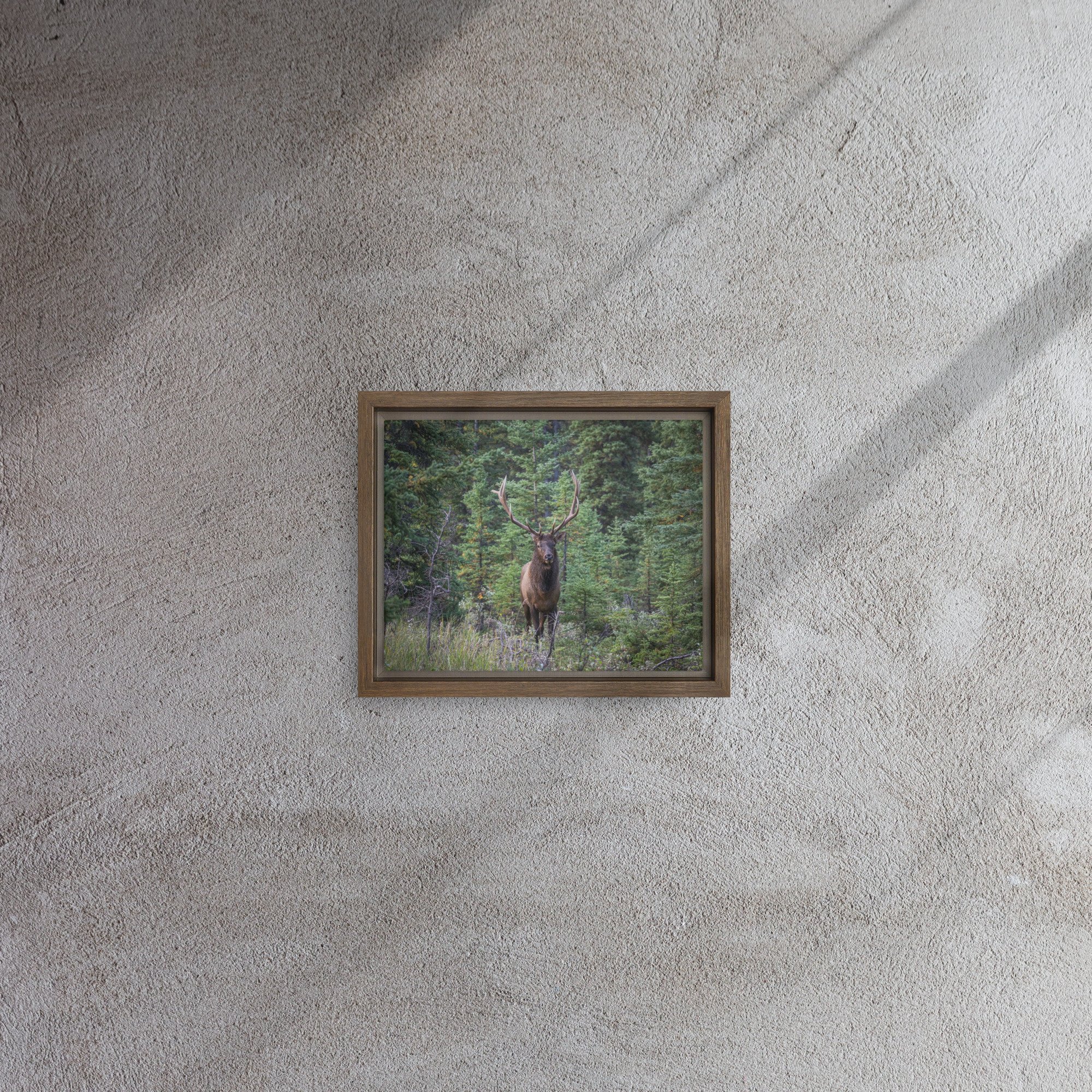 framed-canvas-(in)-brown-8x10-front-67d0ab5828bc0.jpg