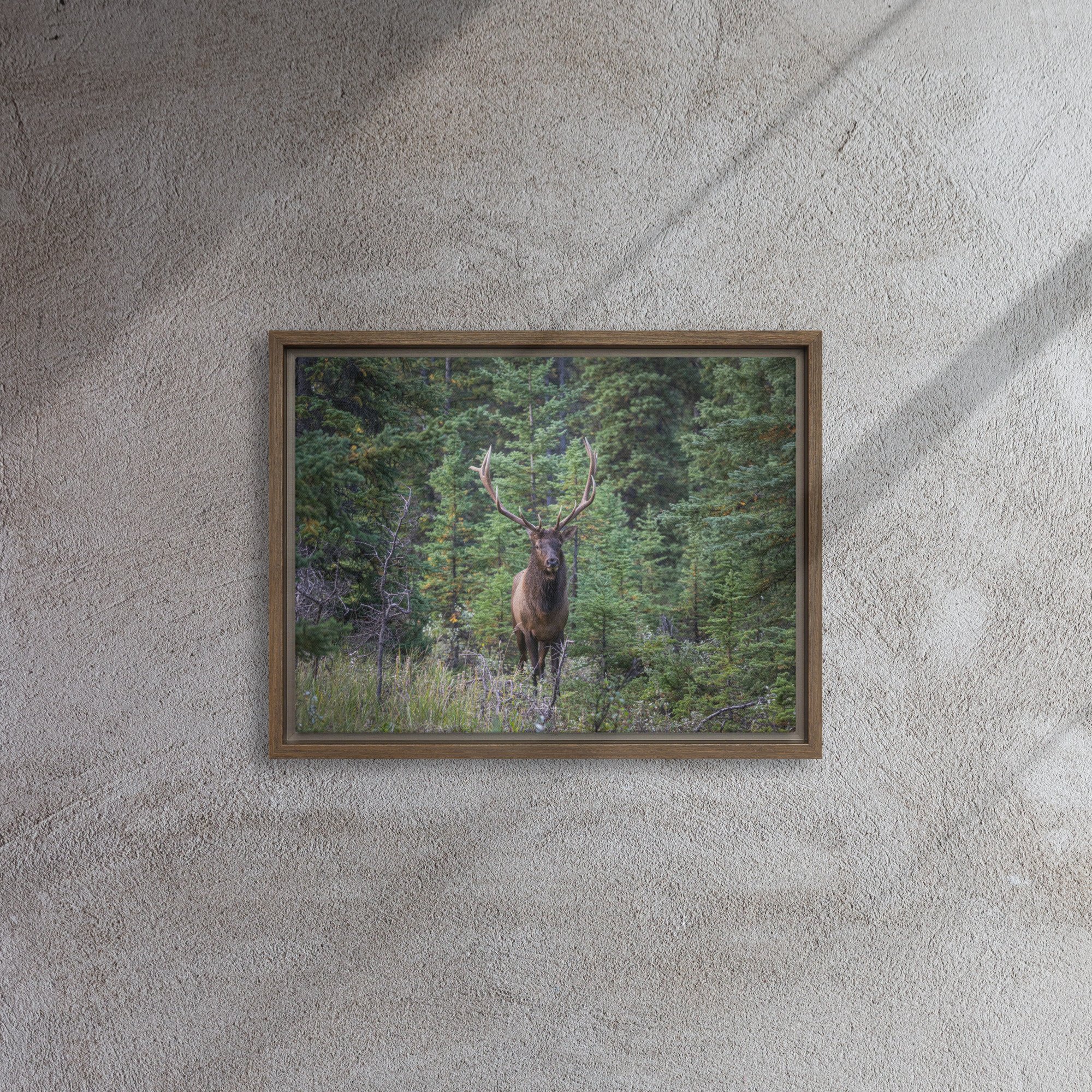 framed-canvas-(in)-brown-12x16-front-67d0ab5828d0d.jpg