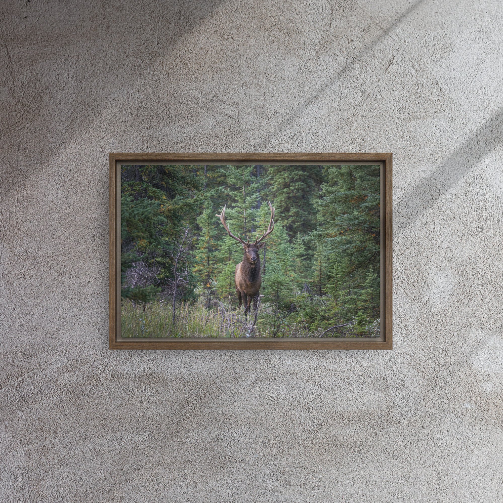 framed-canvas-(in)-brown-12x18-front-67d0ab5828d60.jpg