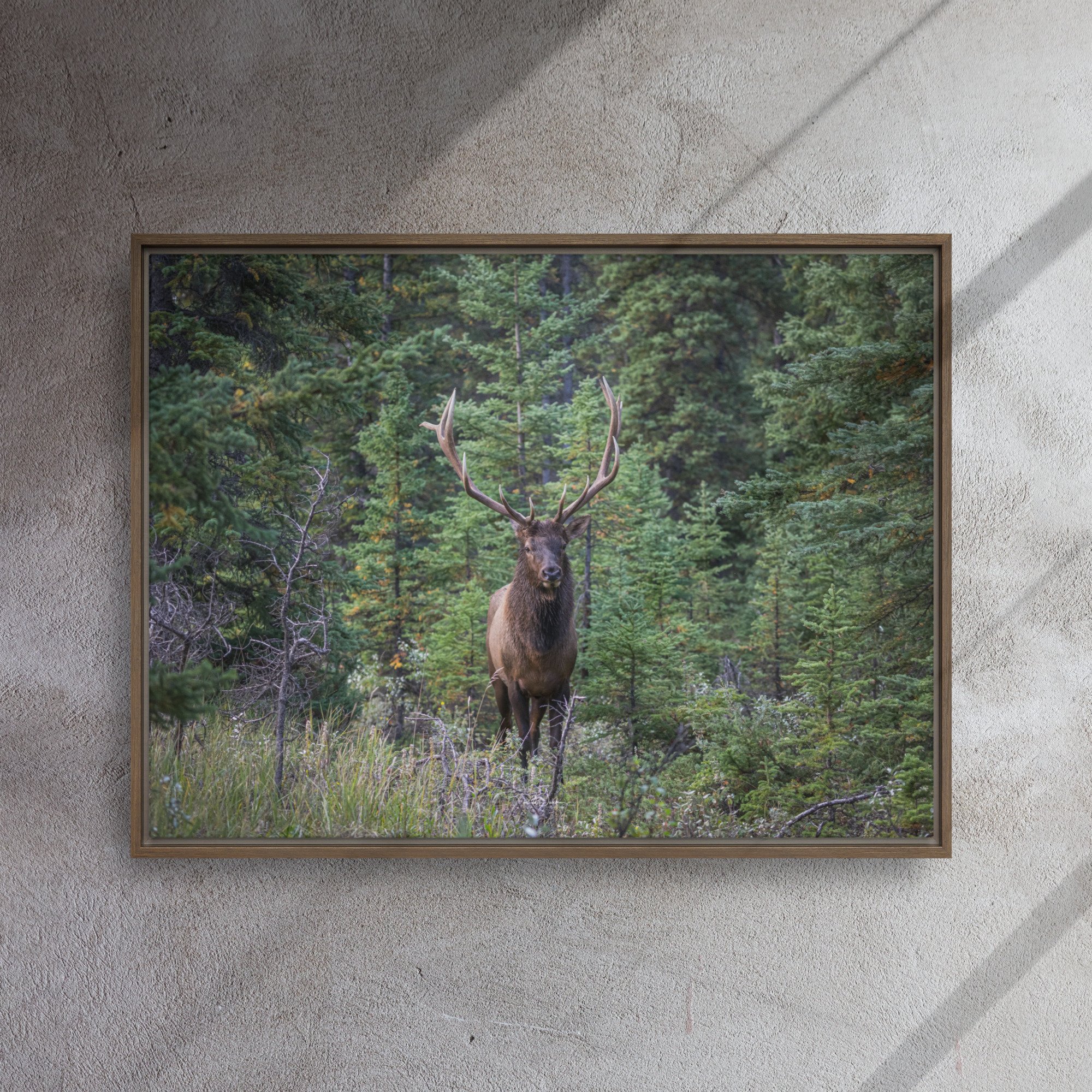 framed-canvas-(in)-brown-24x32-front-67d0ab5828f17.jpg