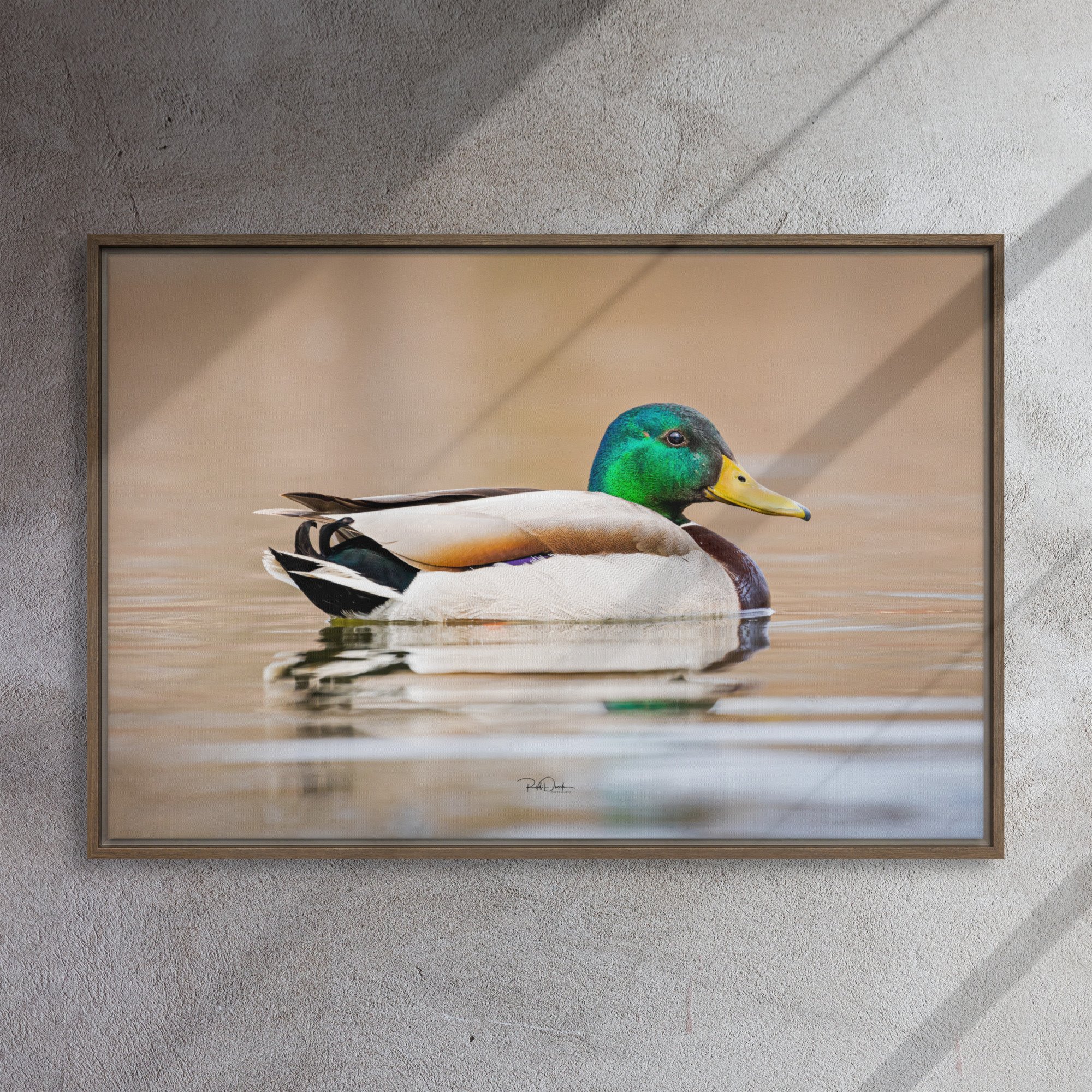framed-canvas-(in)-brown-24x36-front-67d0b2261da1c.jpg
