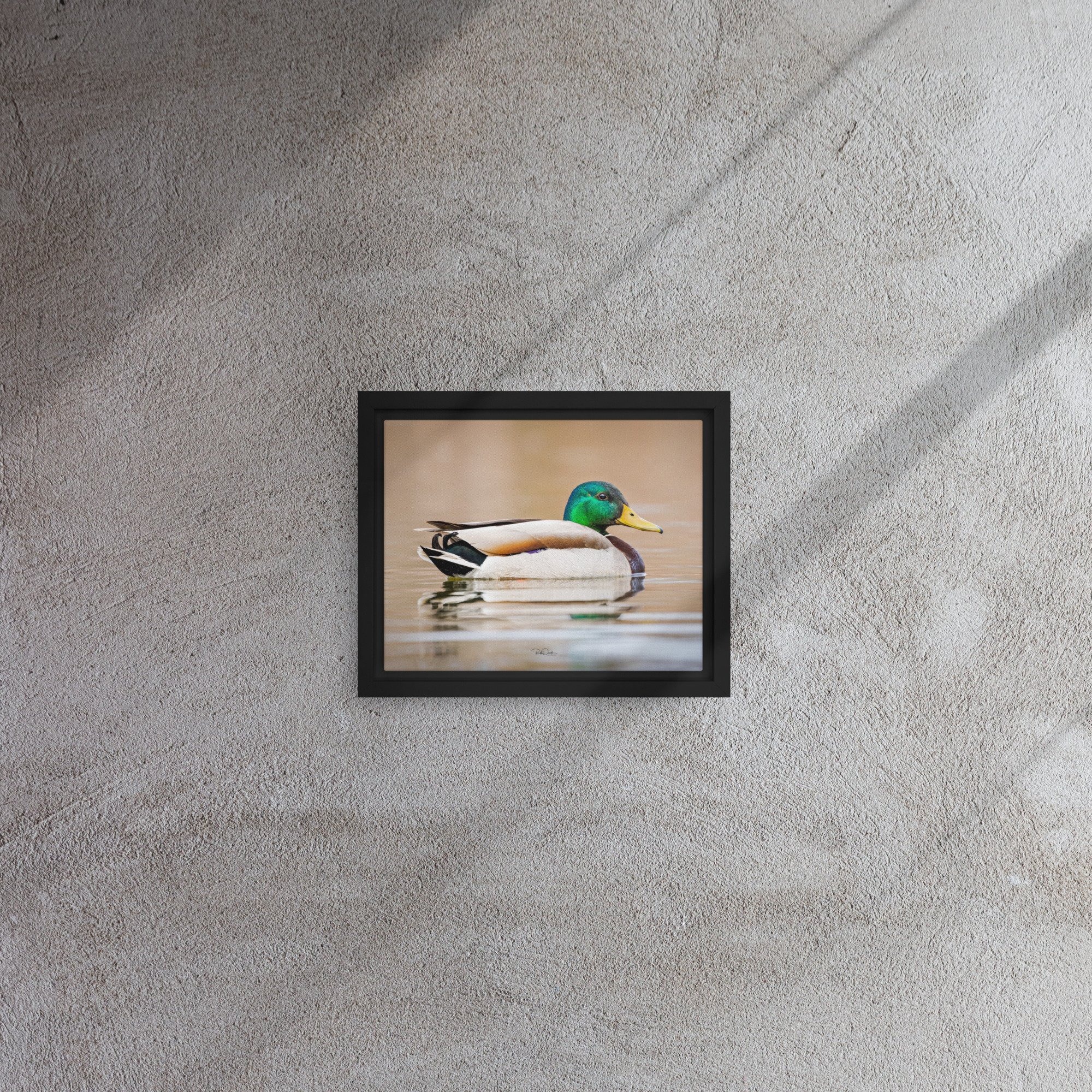 framed-canvas-(in)-black-8x10-front-67d0b2261e0c8.jpg