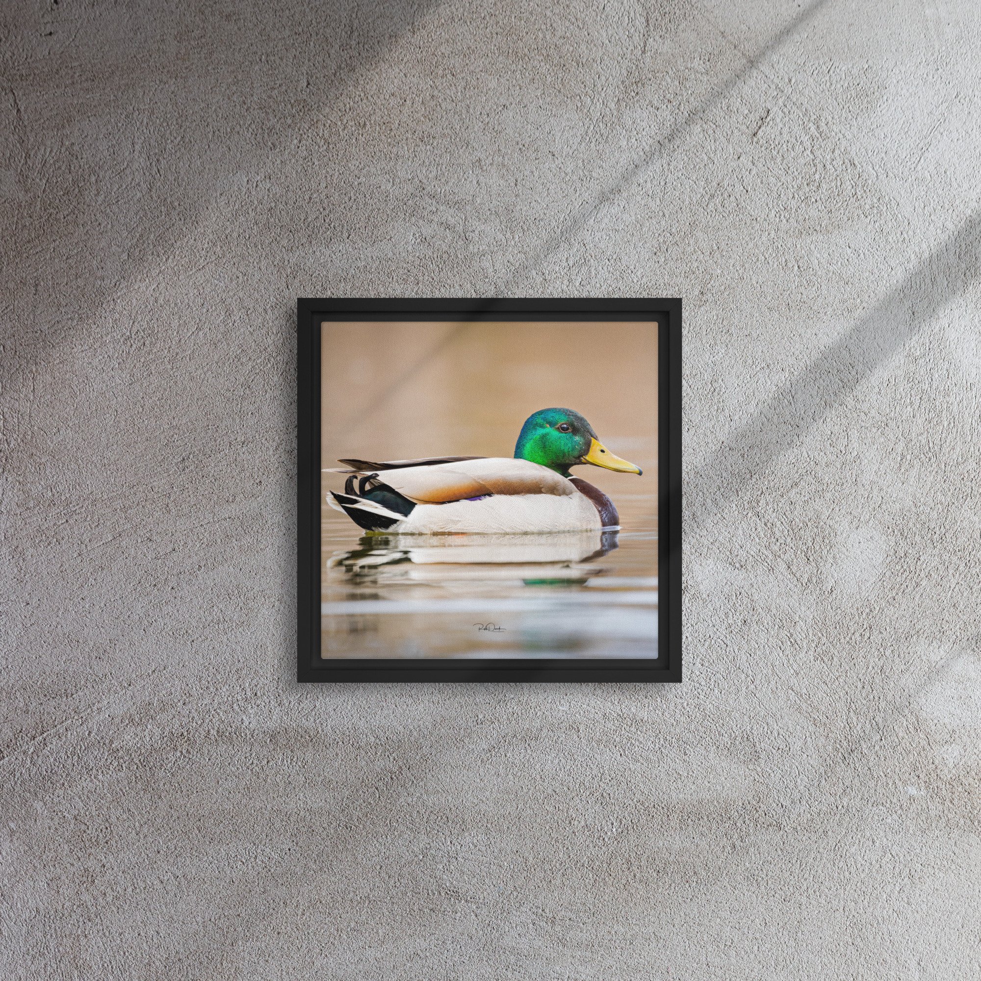 framed-canvas-(in)-black-12x12-front-67d0b2261e21e.jpg