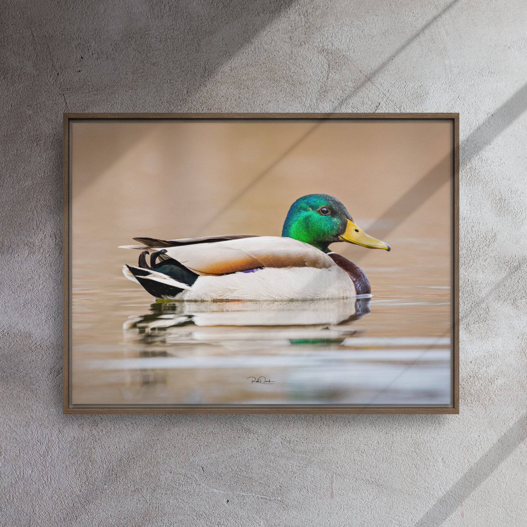 framed-canvas-(in)-brown-24x32-front-67d0b2261eb8e.jpg