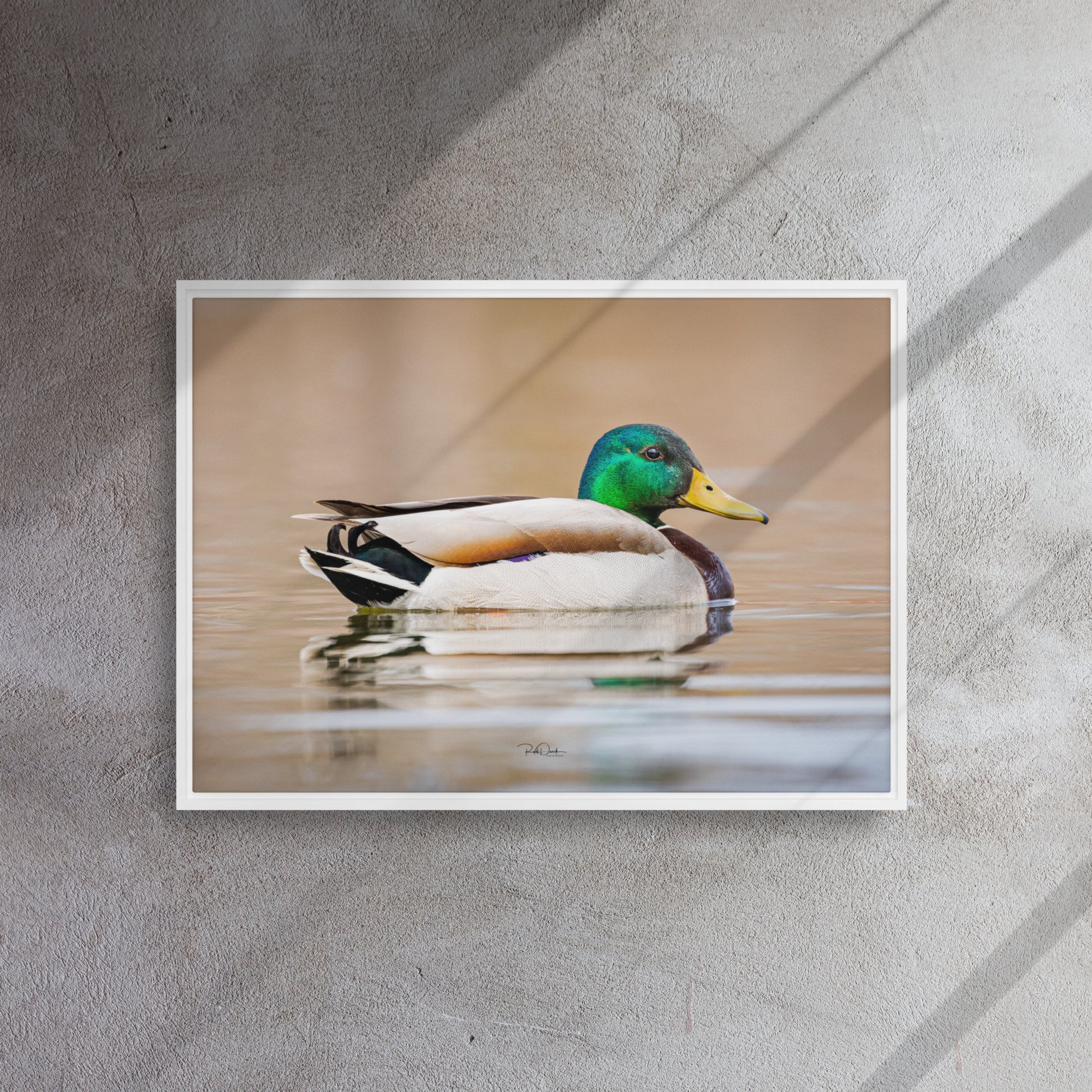 framed-canvas-(in)-white-20x28-front-67d0b2261efc7.jpg
