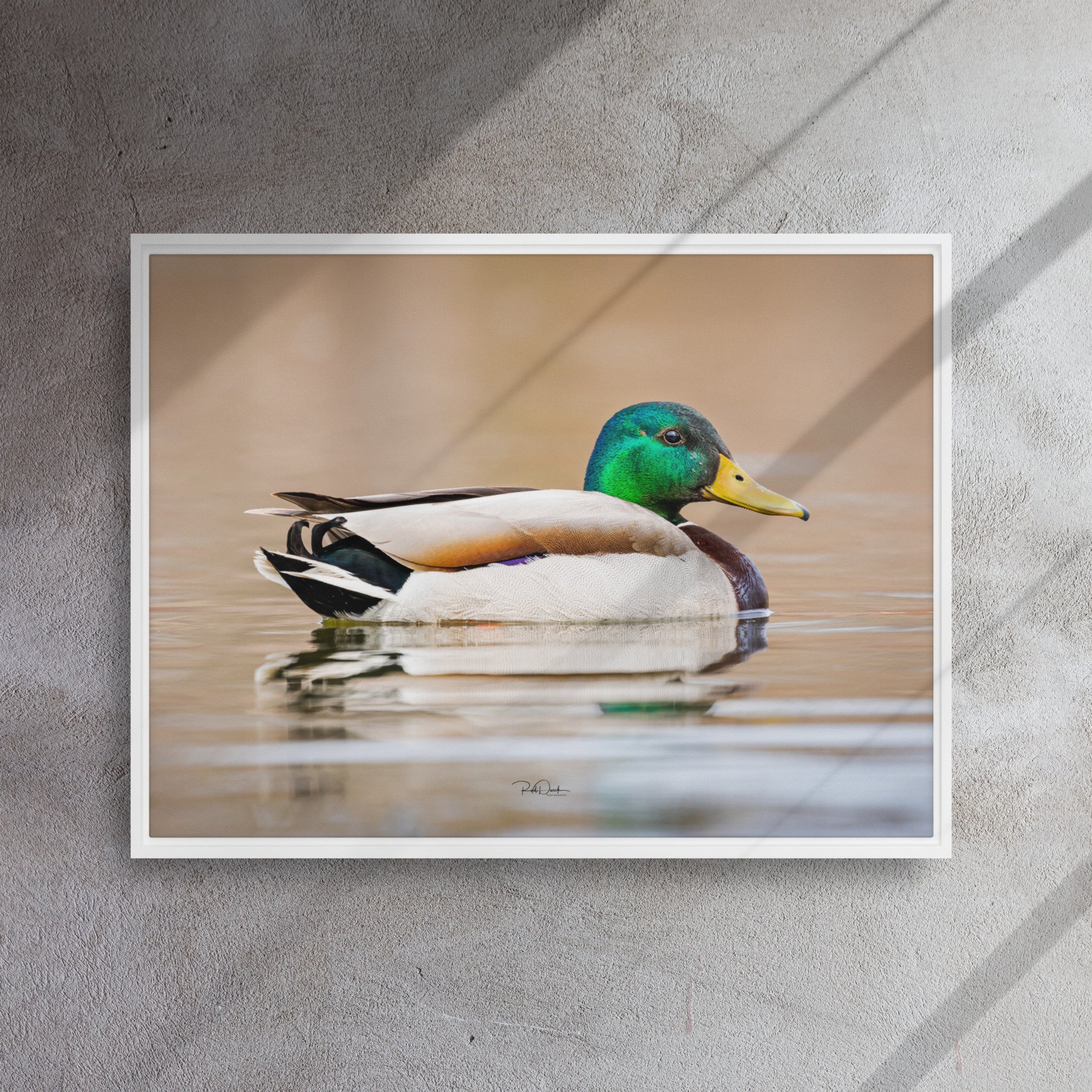 framed-canvas-(in)-white-24x32-front-67d0b2261f0b9.jpg
