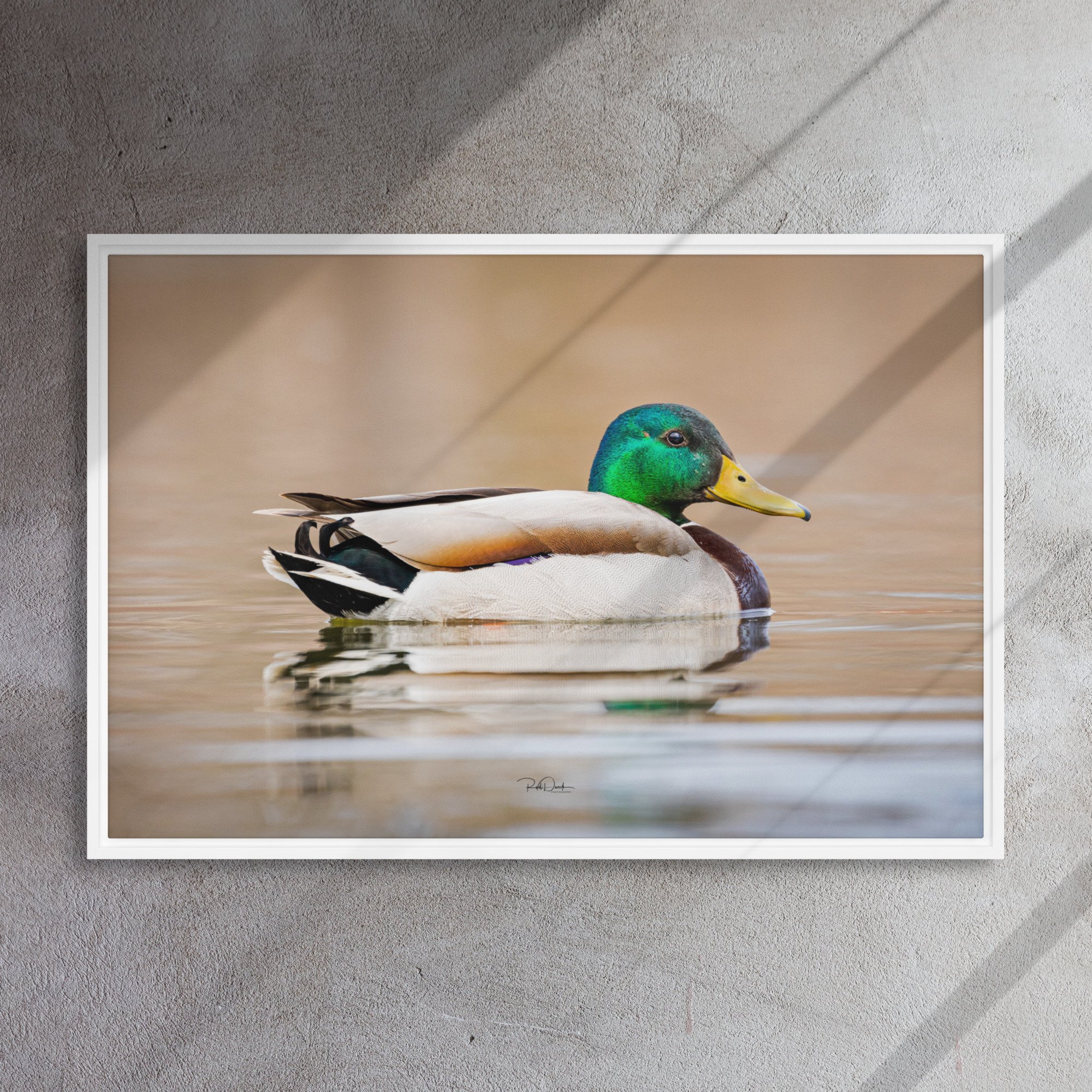 framed-canvas-(in)-white-24x36-front-67d0b2261f11a.jpg