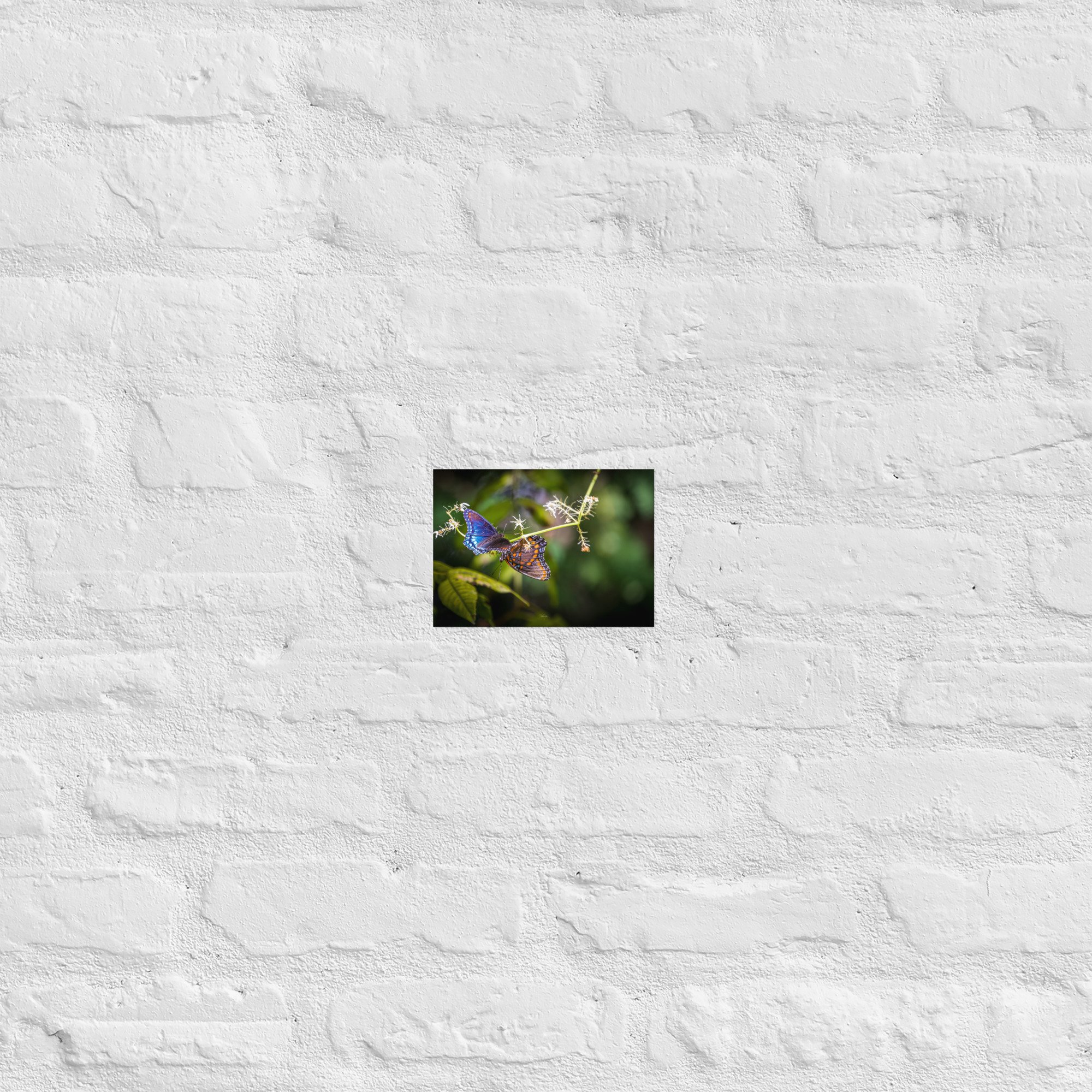 premium-luster-photo-paper-poster-(in)-5x7-front-67d0bb788d72c.jpg