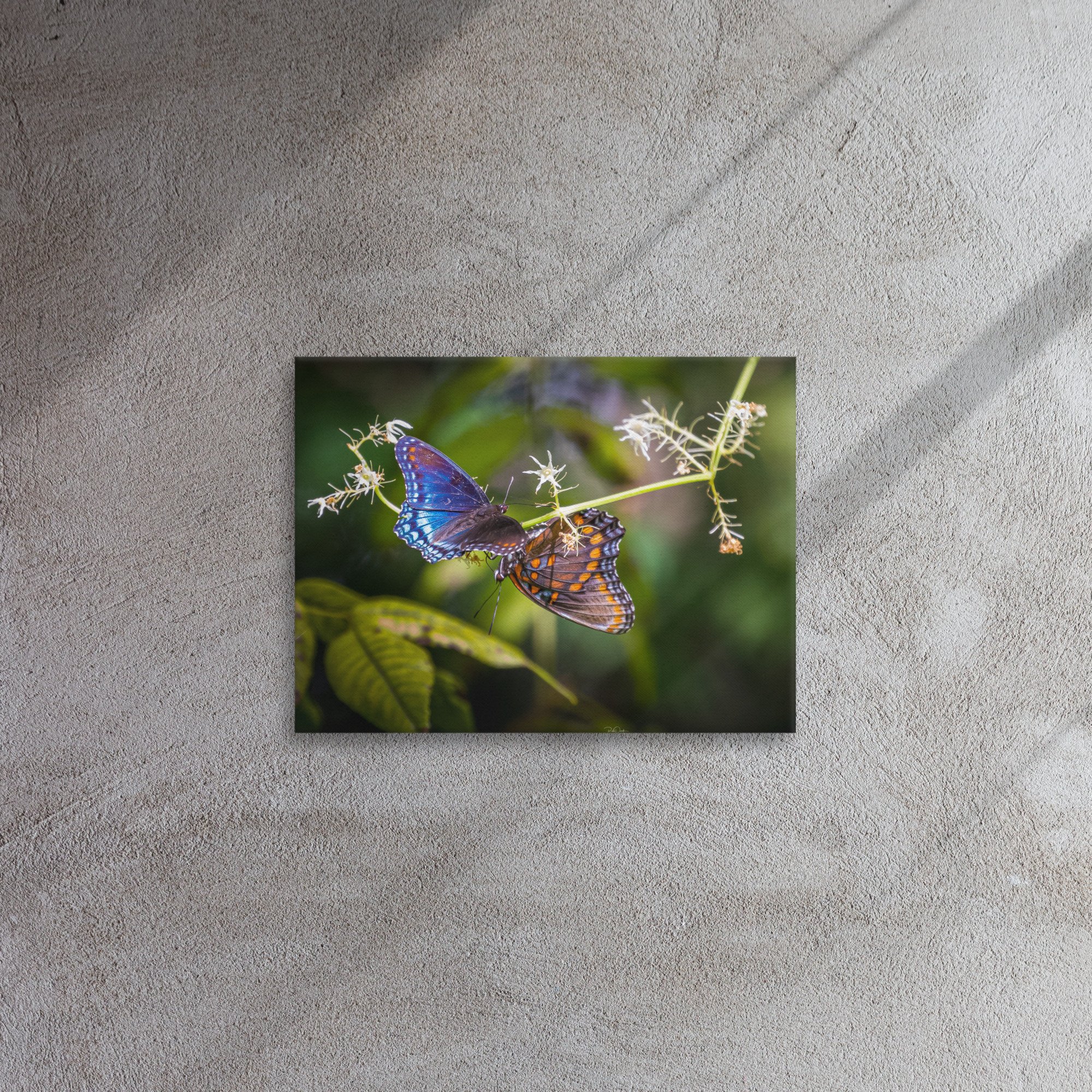 thin-canvas-(in)-12x16-front-67d0bcce6e047.jpg