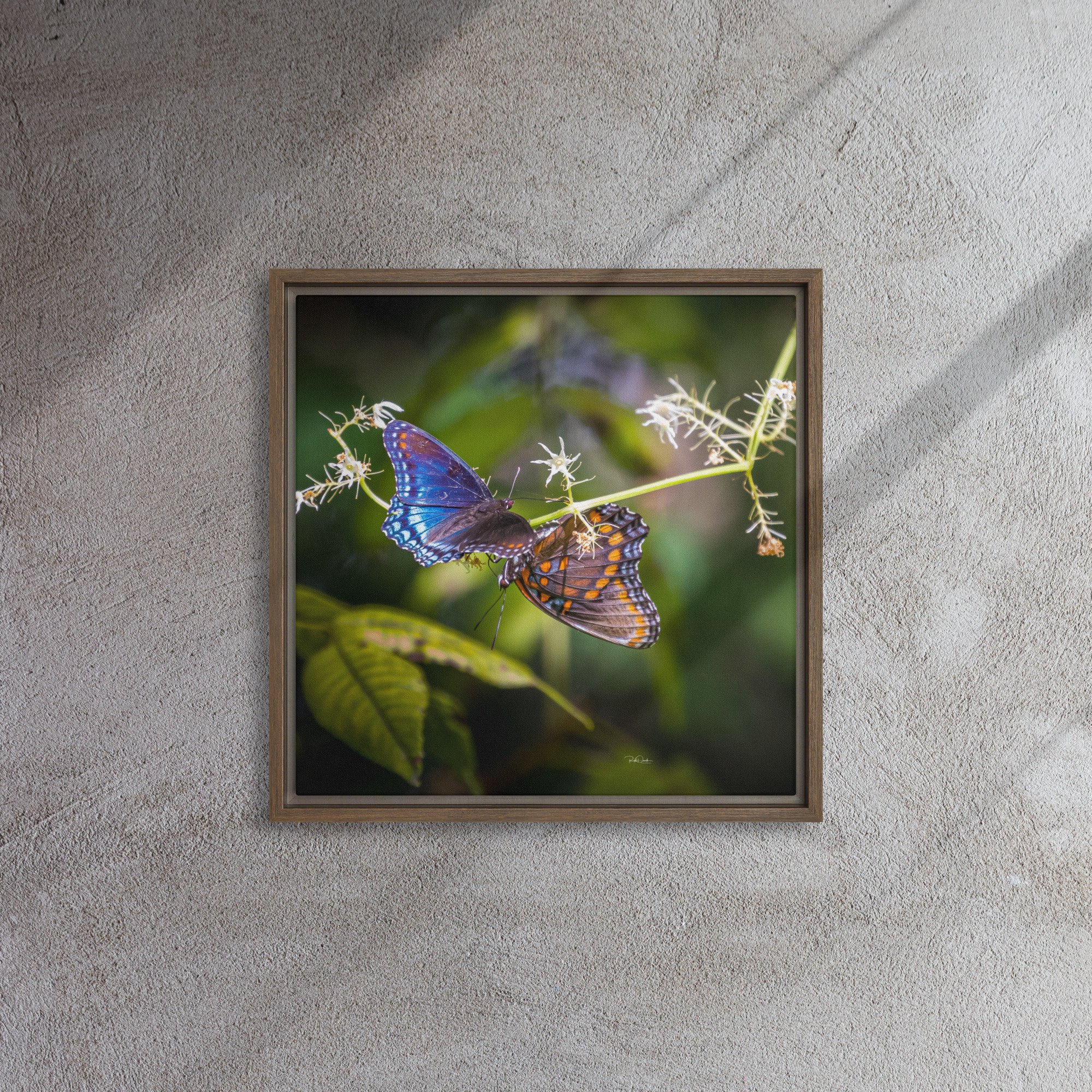 framed-canvas-(in)-brown-16x16-front-67d0bf106a9bb.jpg