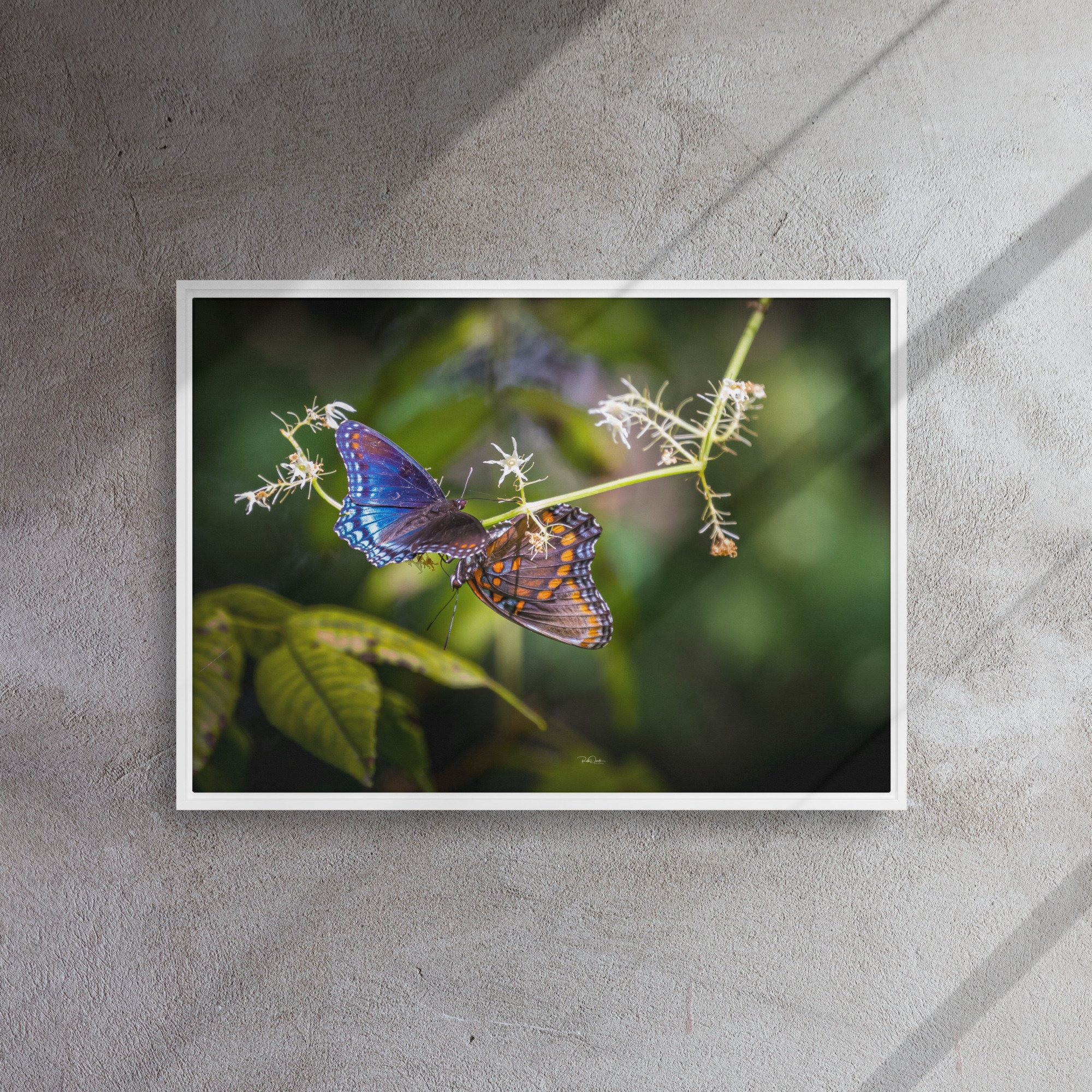 framed-canvas-(in)-white-20x28-front-67d0bf106b07a.jpg