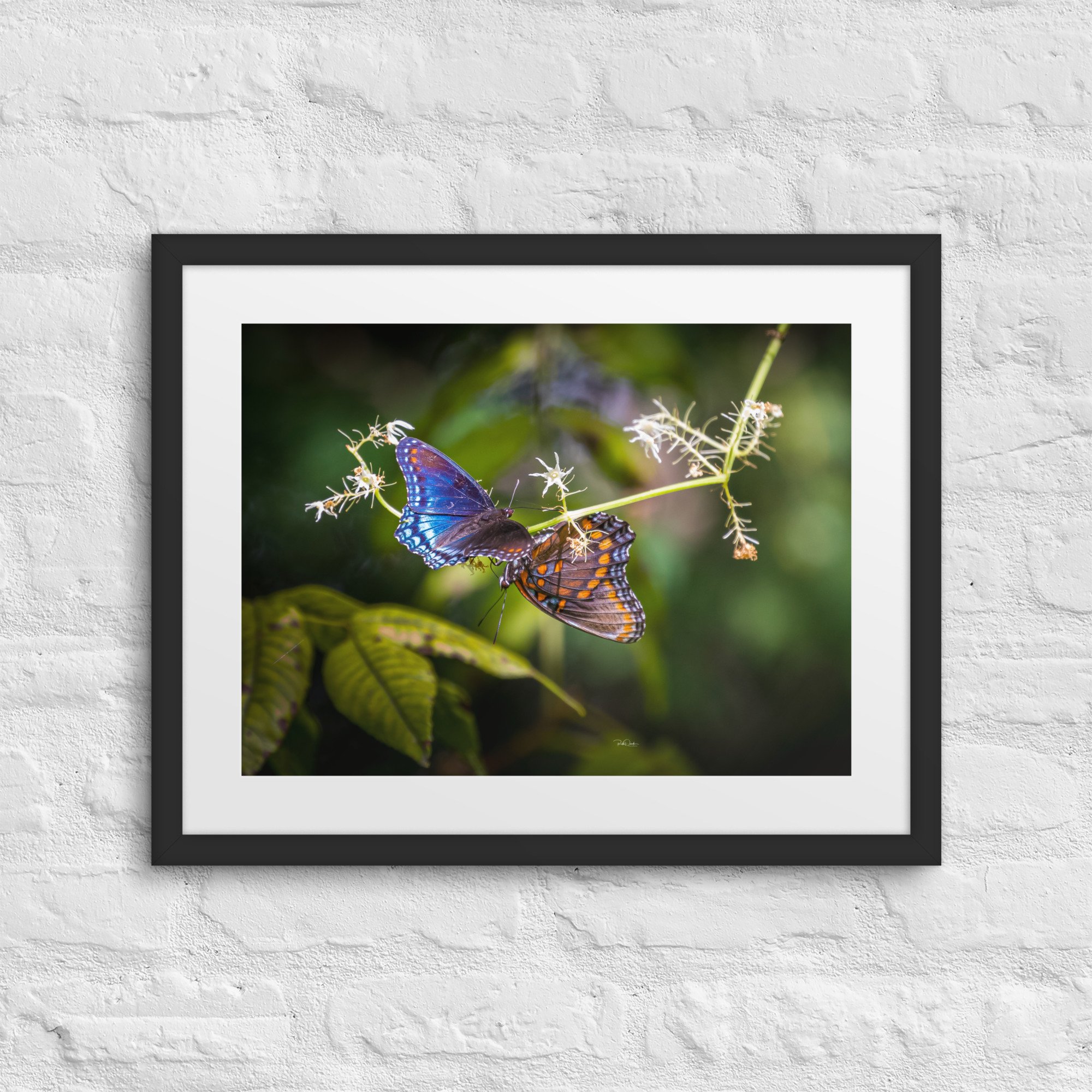 matte-paper-framed-poster-with-mat-(in)-black-16x20-front-67d0c22fa2aa5.jpg