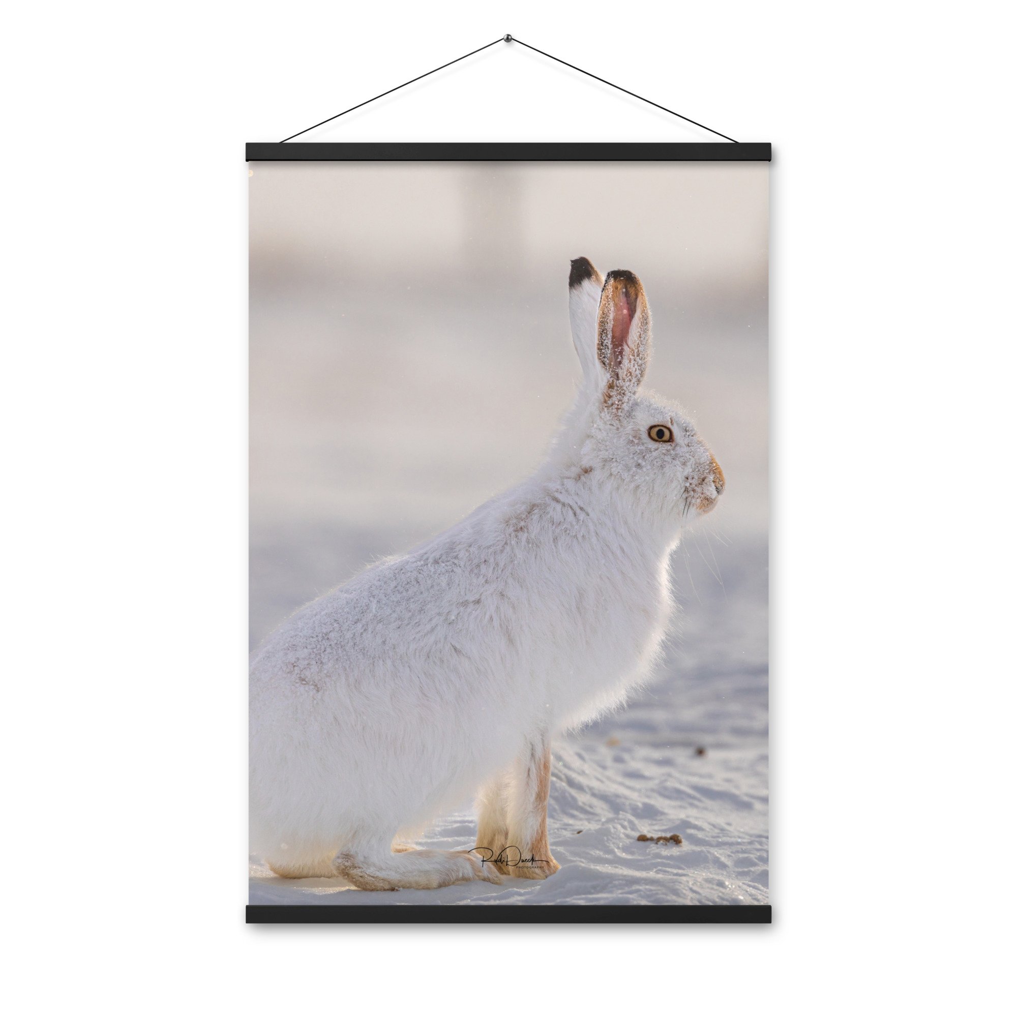 enhanced-matte-paper-poster-with-hanger-(in)-black-24x36-front-67d235e7397a9.jpg