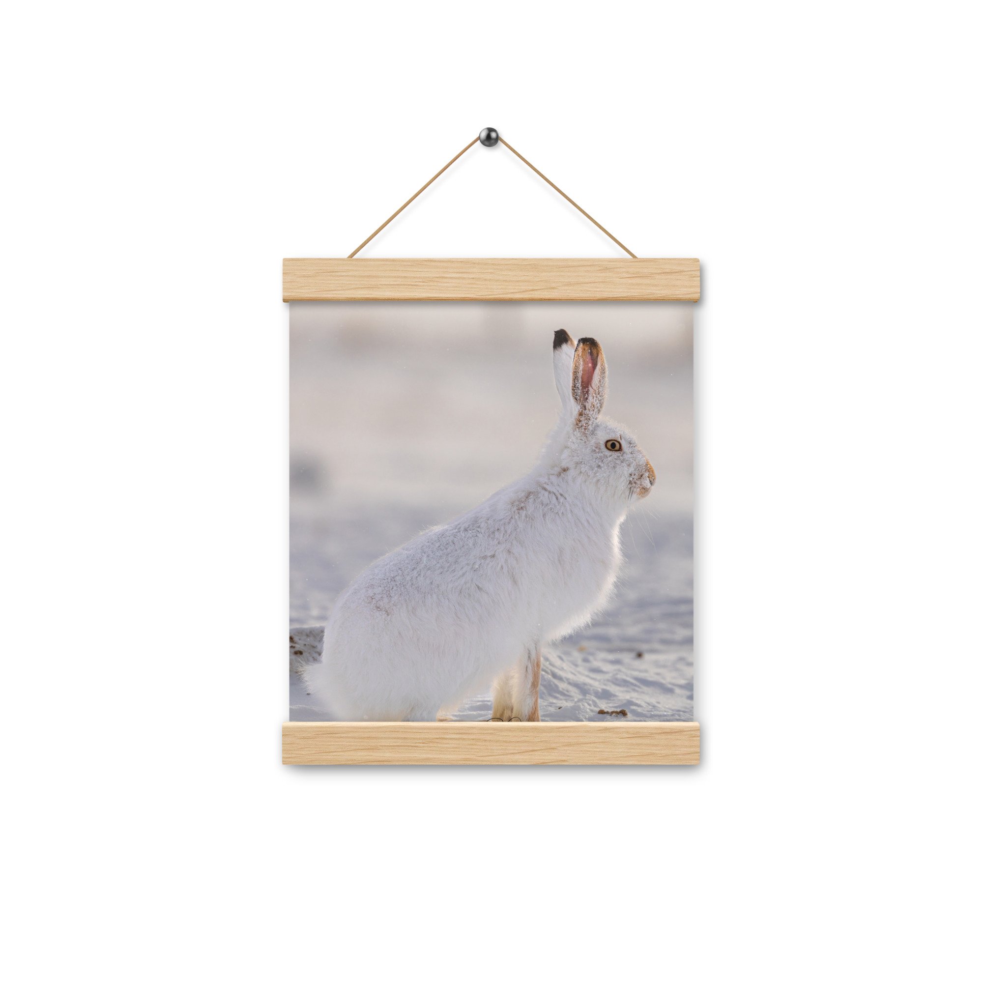 enhanced-matte-paper-poster-with-hanger-(in)-oak-8x10-front-67d235e73980b.jpg
