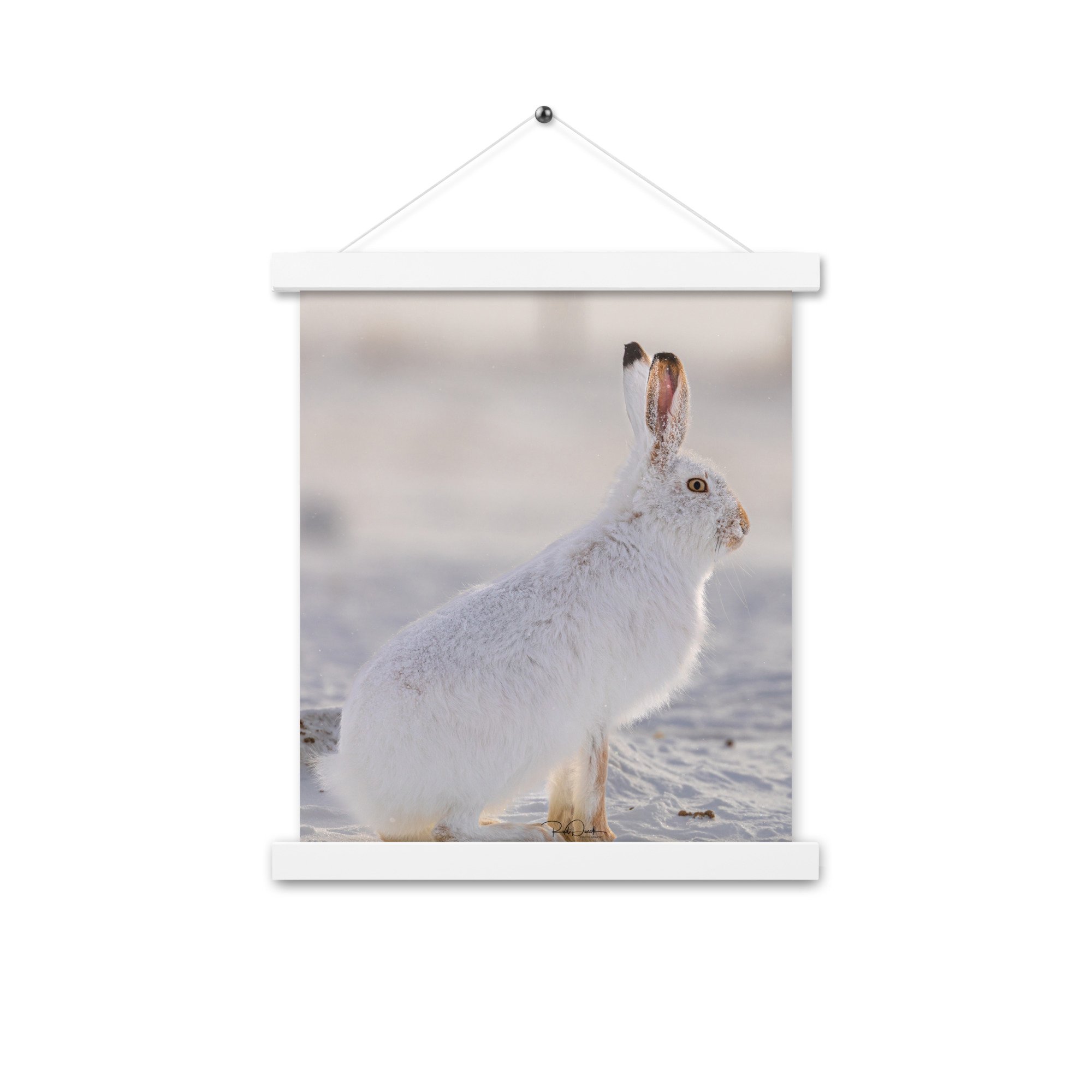 enhanced-matte-paper-poster-with-hanger-(in)-white-11x14-front-67d235e739d7f.jpg
