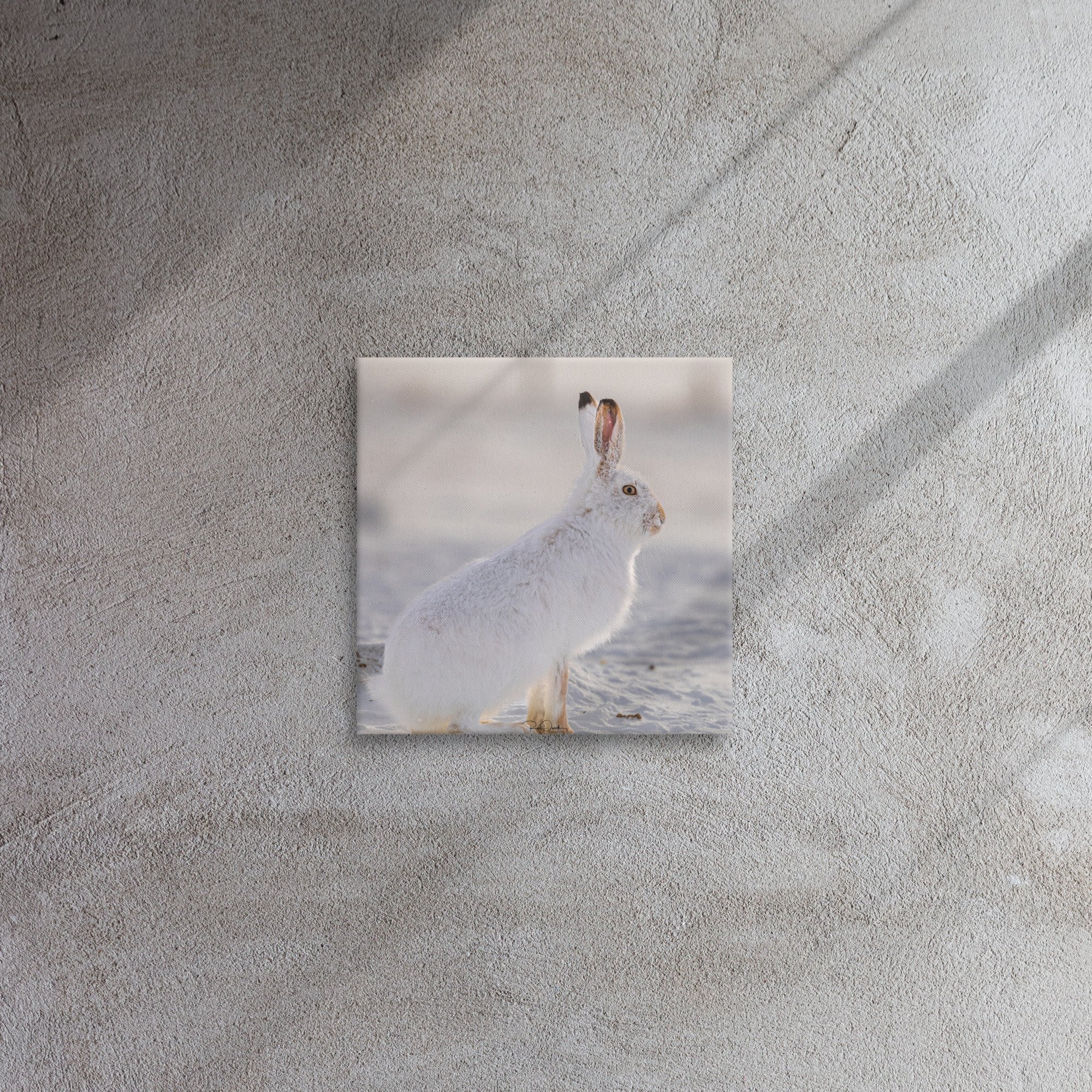 thin-canvas-(in)-12x12-front-67d237b017d70.jpg