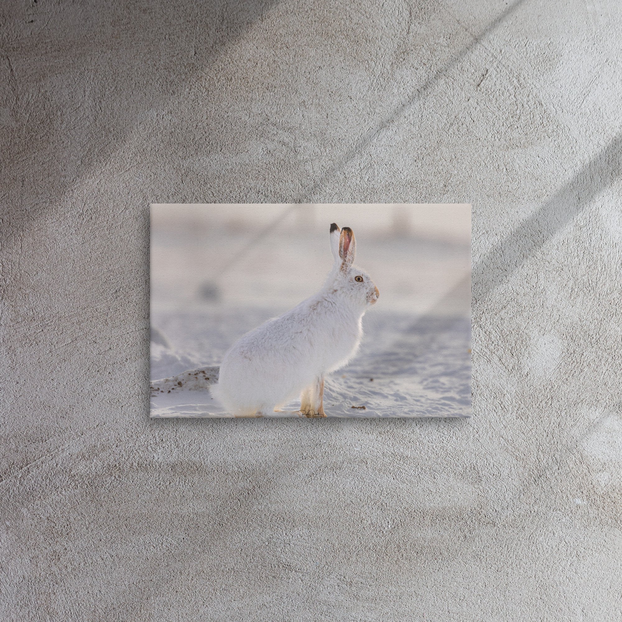 thin-canvas-(in)-12x18-front-67d237b018017.jpg