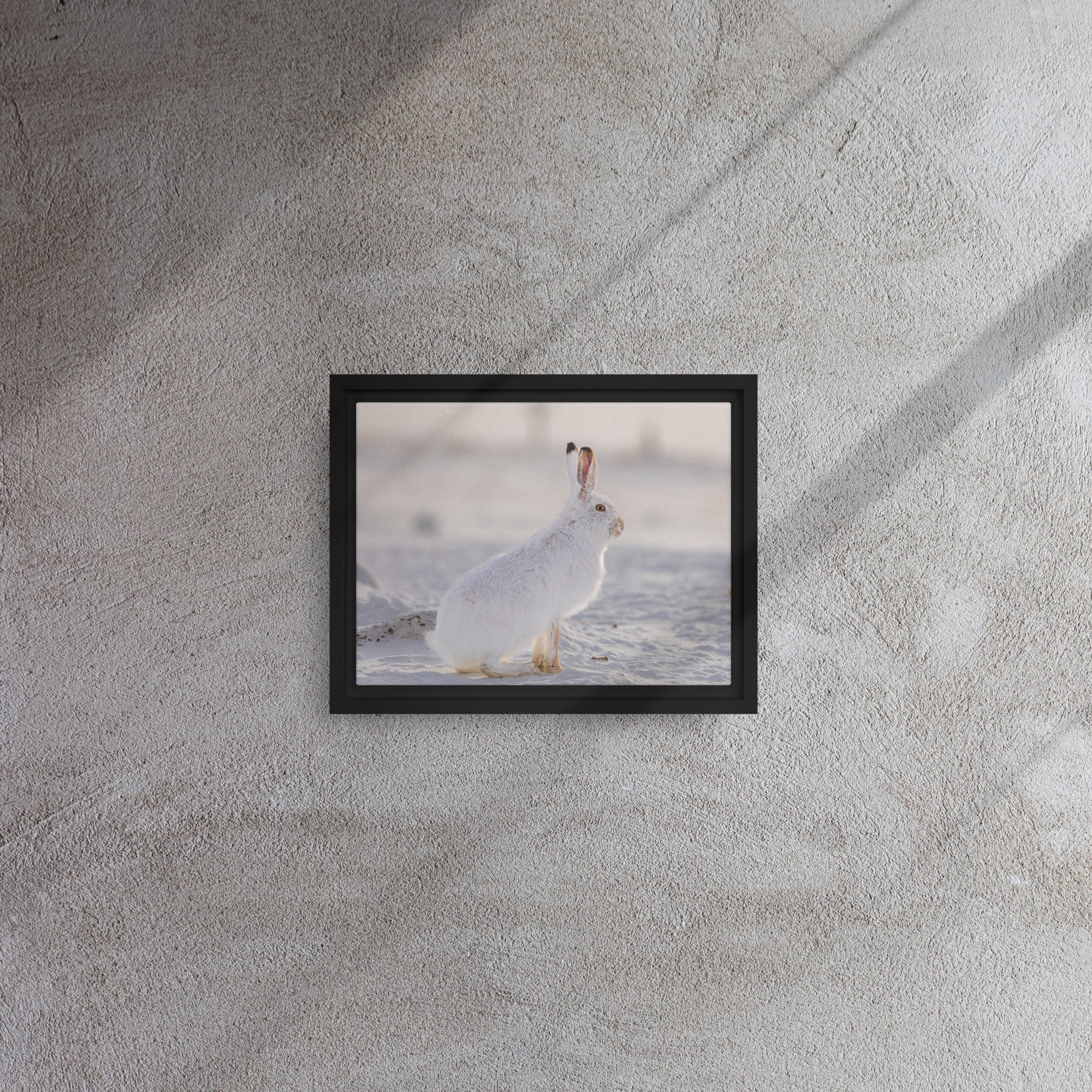 framed-canvas-(in)-black-9x12-front-67d23a2c04d02.jpg