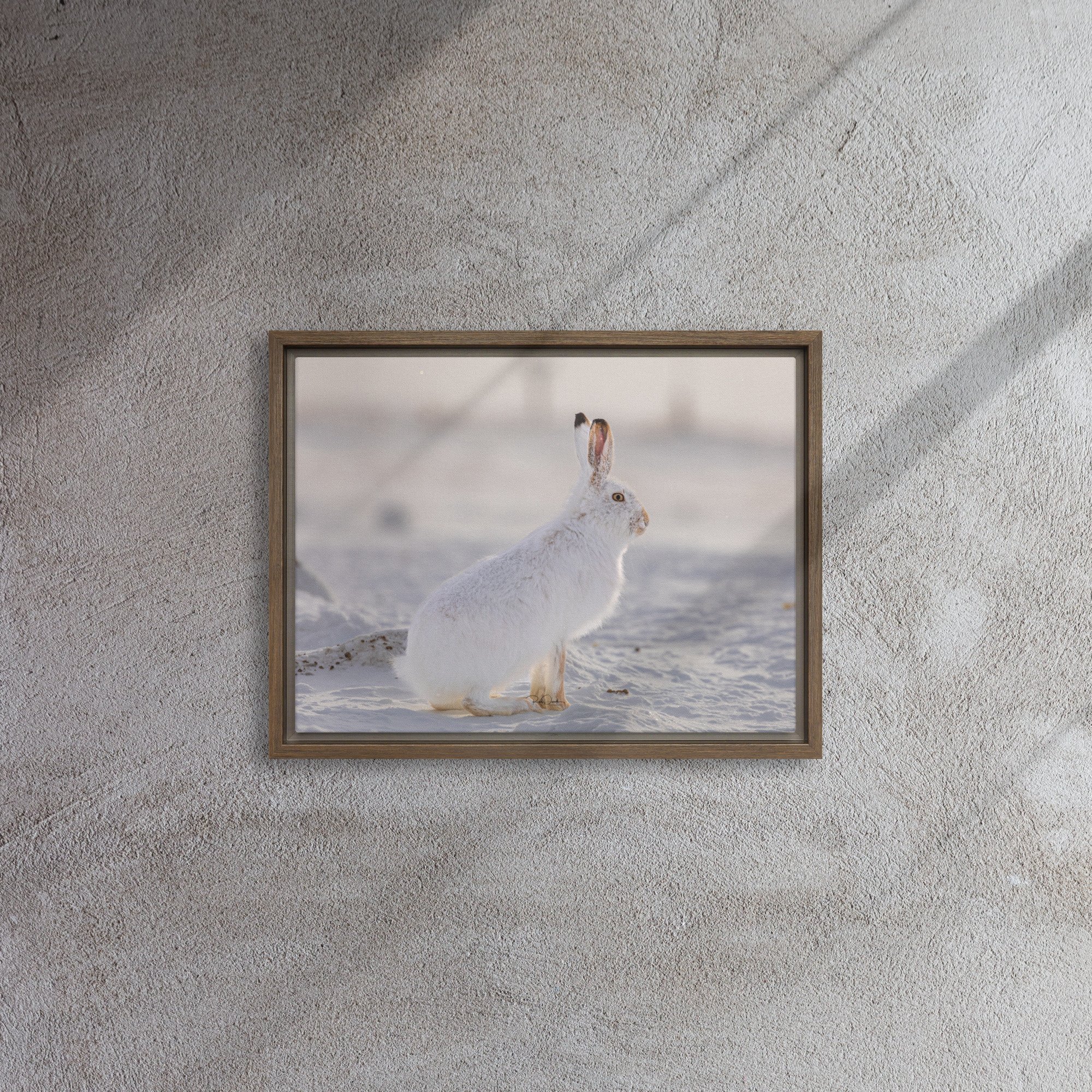 framed-canvas-(in)-brown-12x16-front-67d23a2c05651.jpg